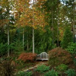 My Fall Kaleidoscope…Fall Color Project 2011