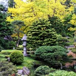 The Japanese Tea Garden in Golden Gate Park