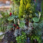 A Southern Style Christmas in my Garden..