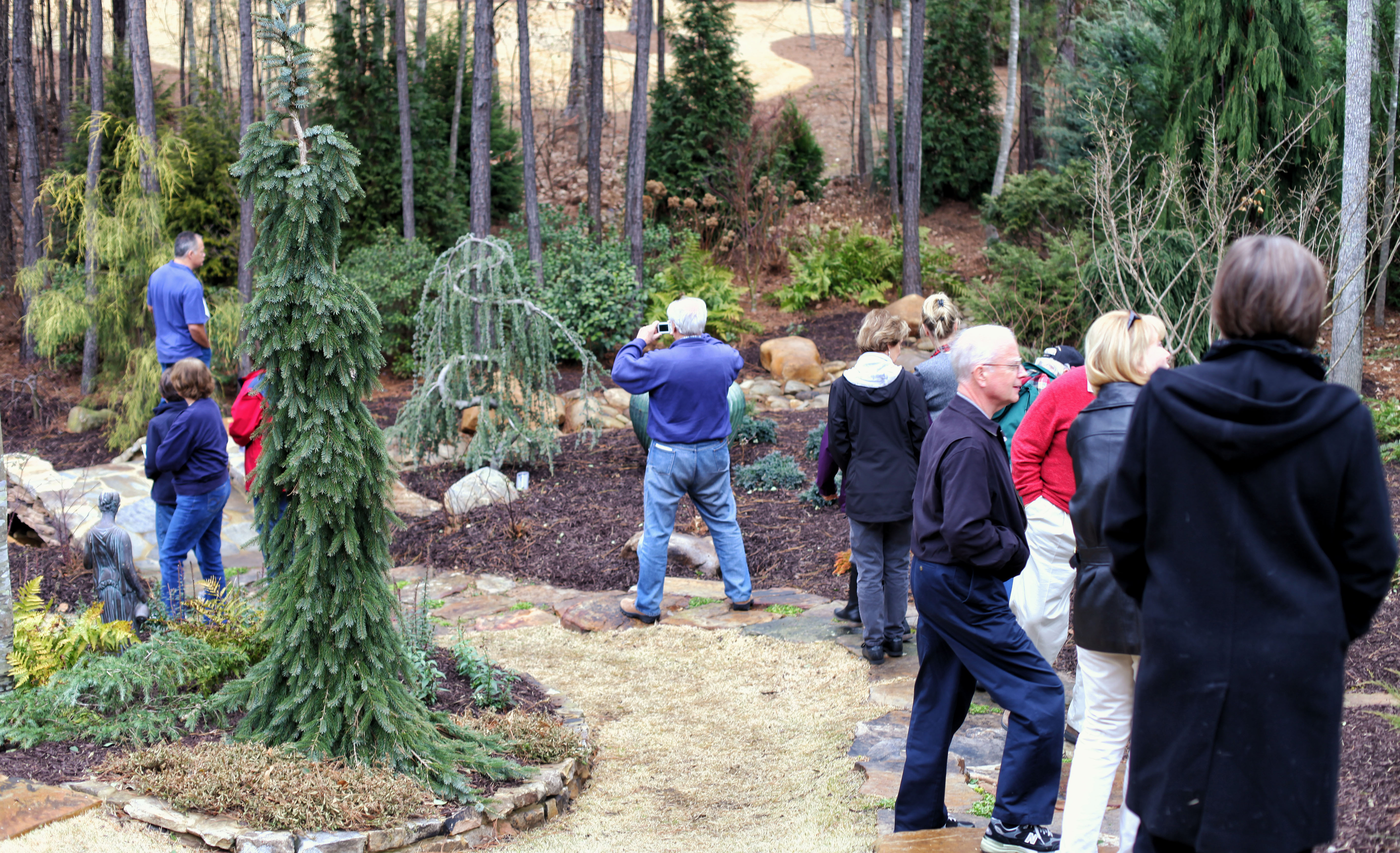 The American Conifer Society – Southeastern Region Rendezvous 2012    visit to my Garden…