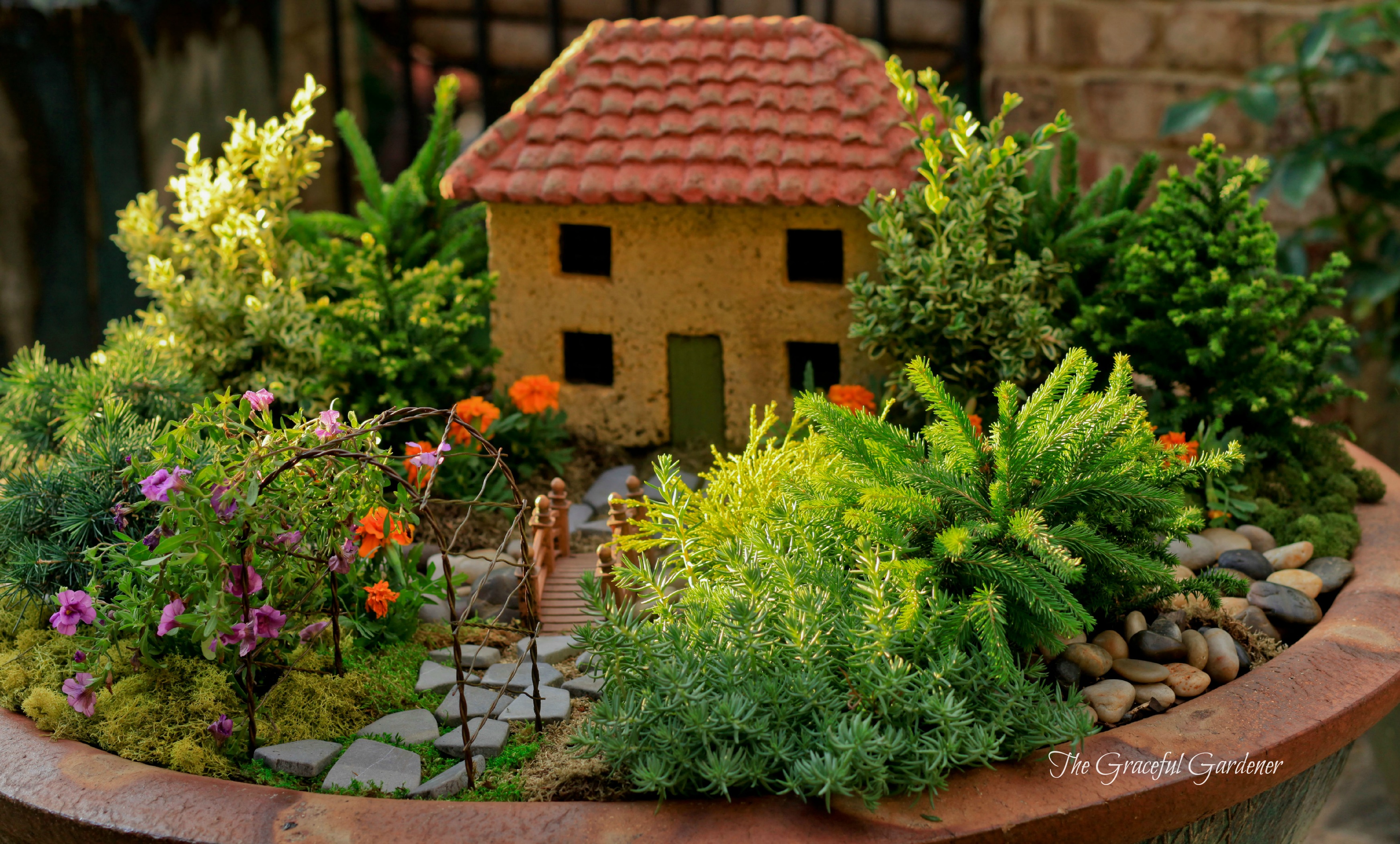 Summertime In My Garden…The Graceful Gardener’s Containers…2013 