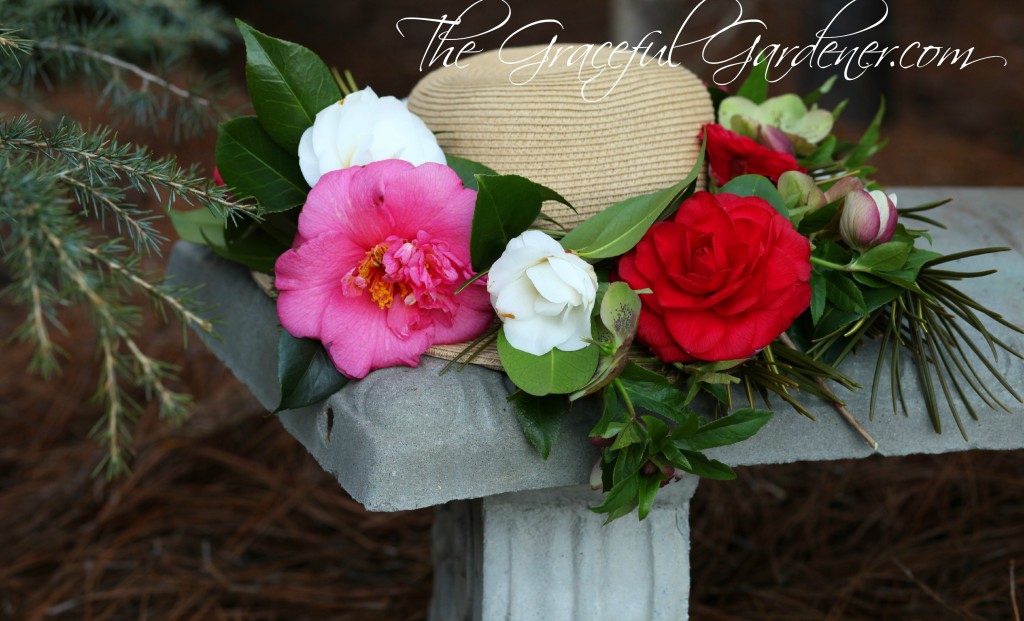 Assortment of Camellia's from my garden.