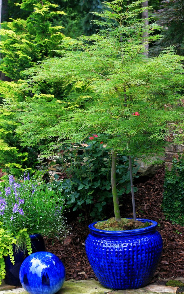 2011 06 18_0189_edited-2copy