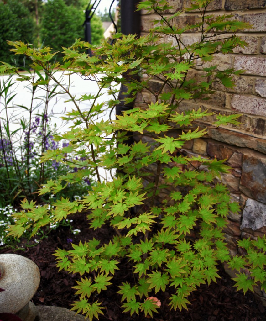 2011 07 13_1163_edited-1