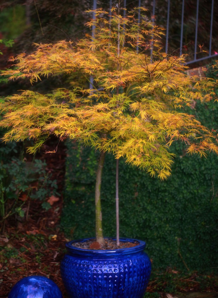 2011 11 07_3059_edited-3