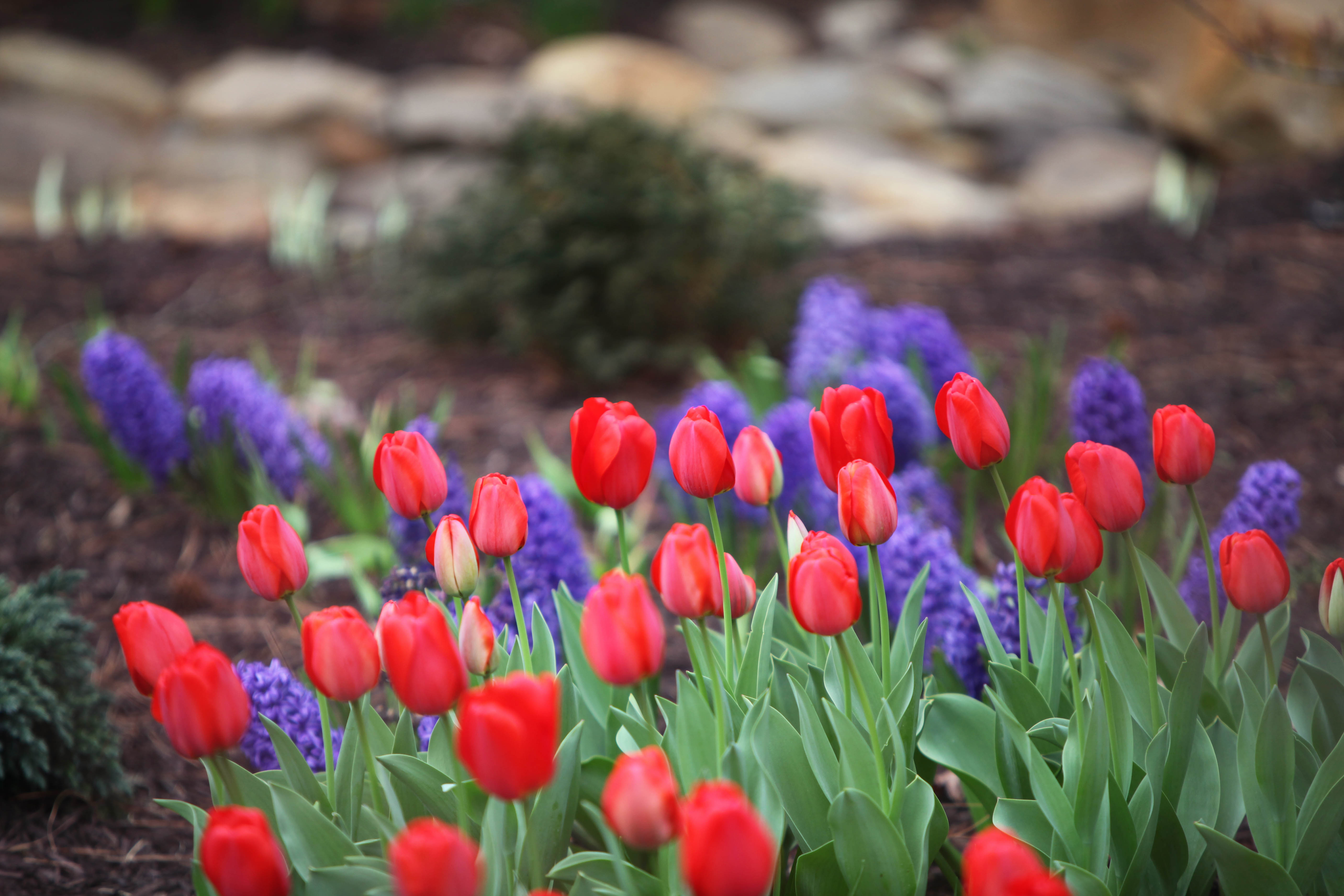 2012 03 12_4304_edited-1