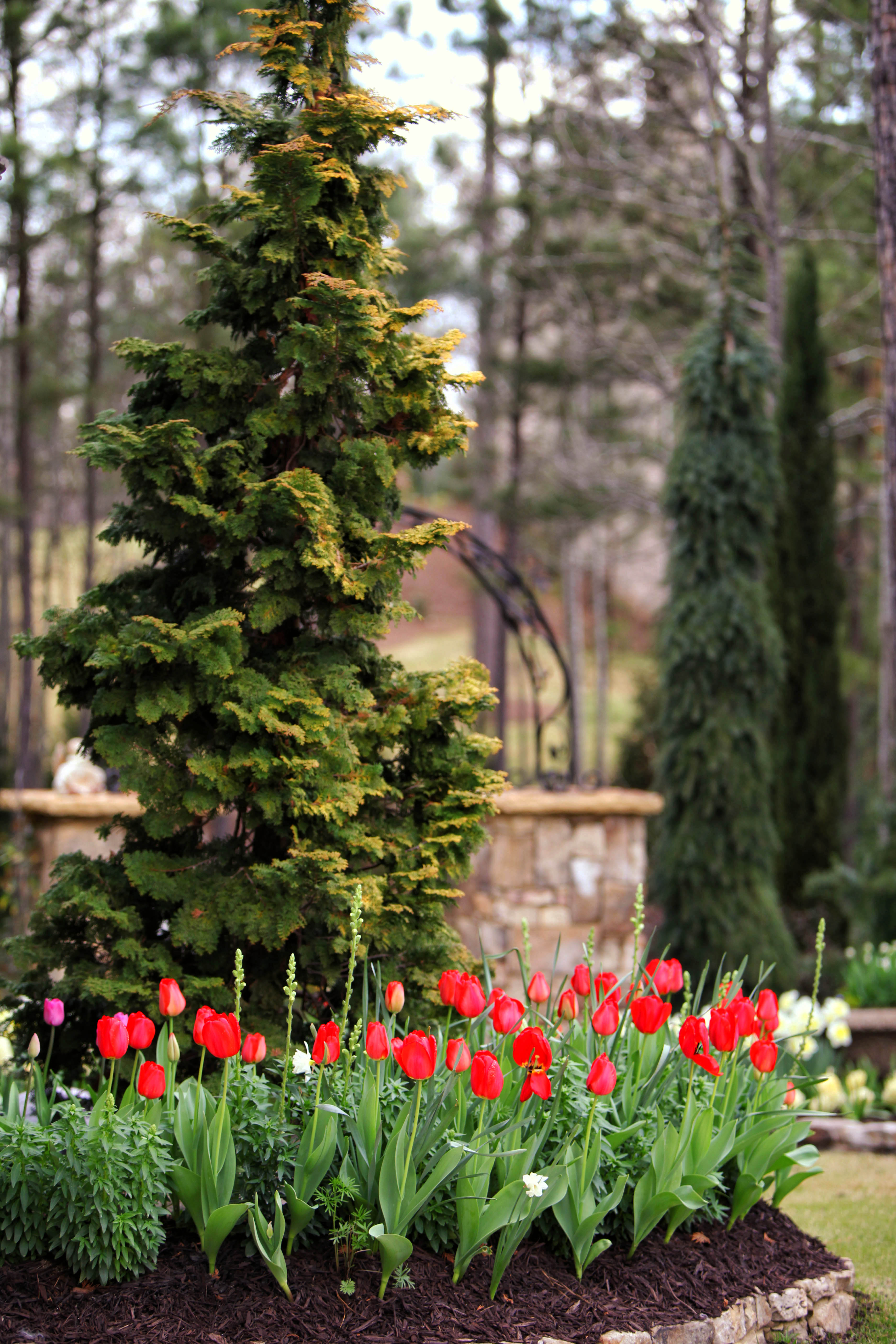 2012 03 17_4476_edited-2 copy
