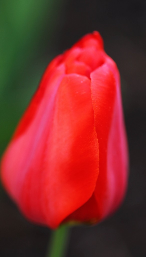 2012 03 17_4506_edited-1