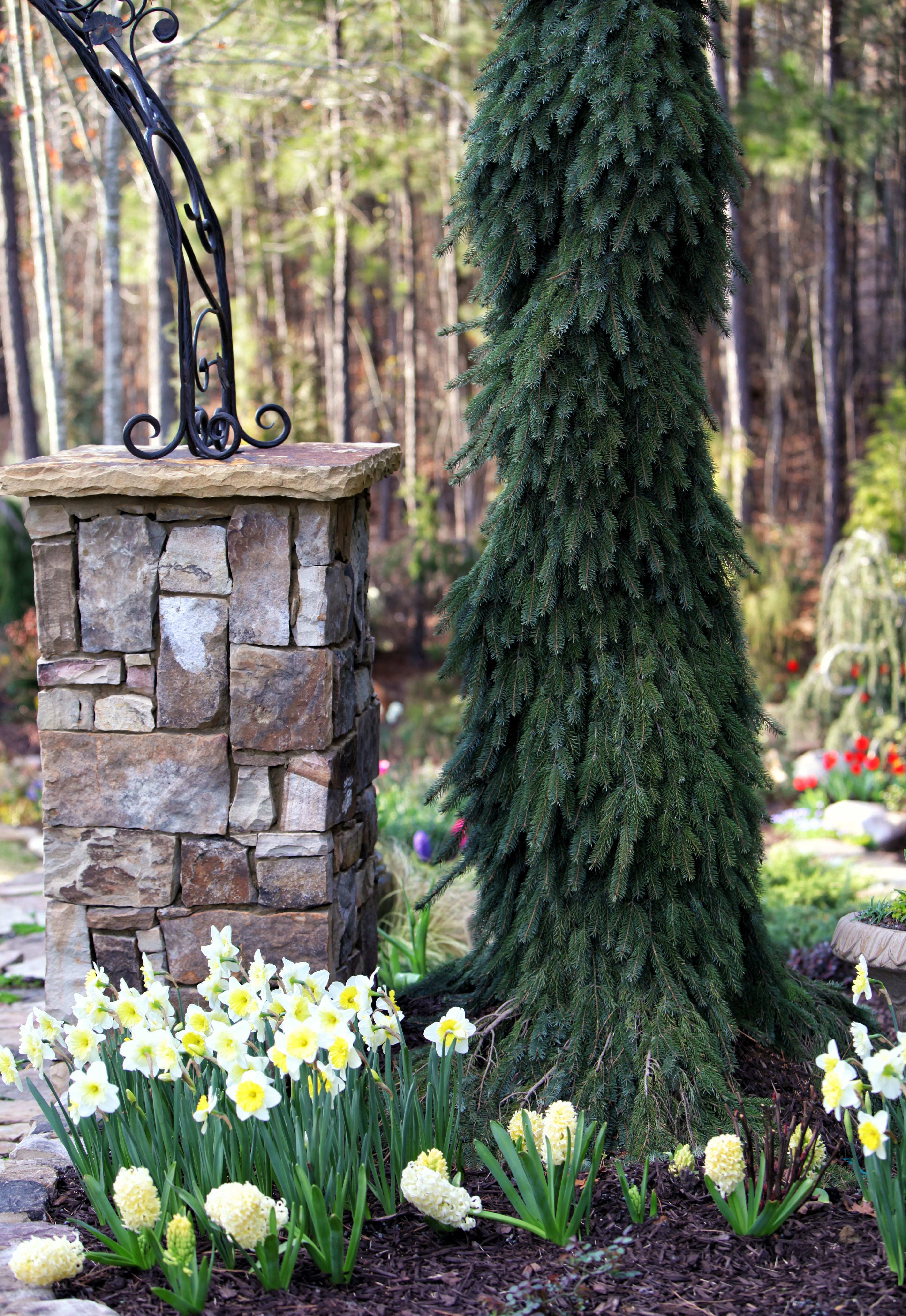 2012 03 17_4566_edited-2