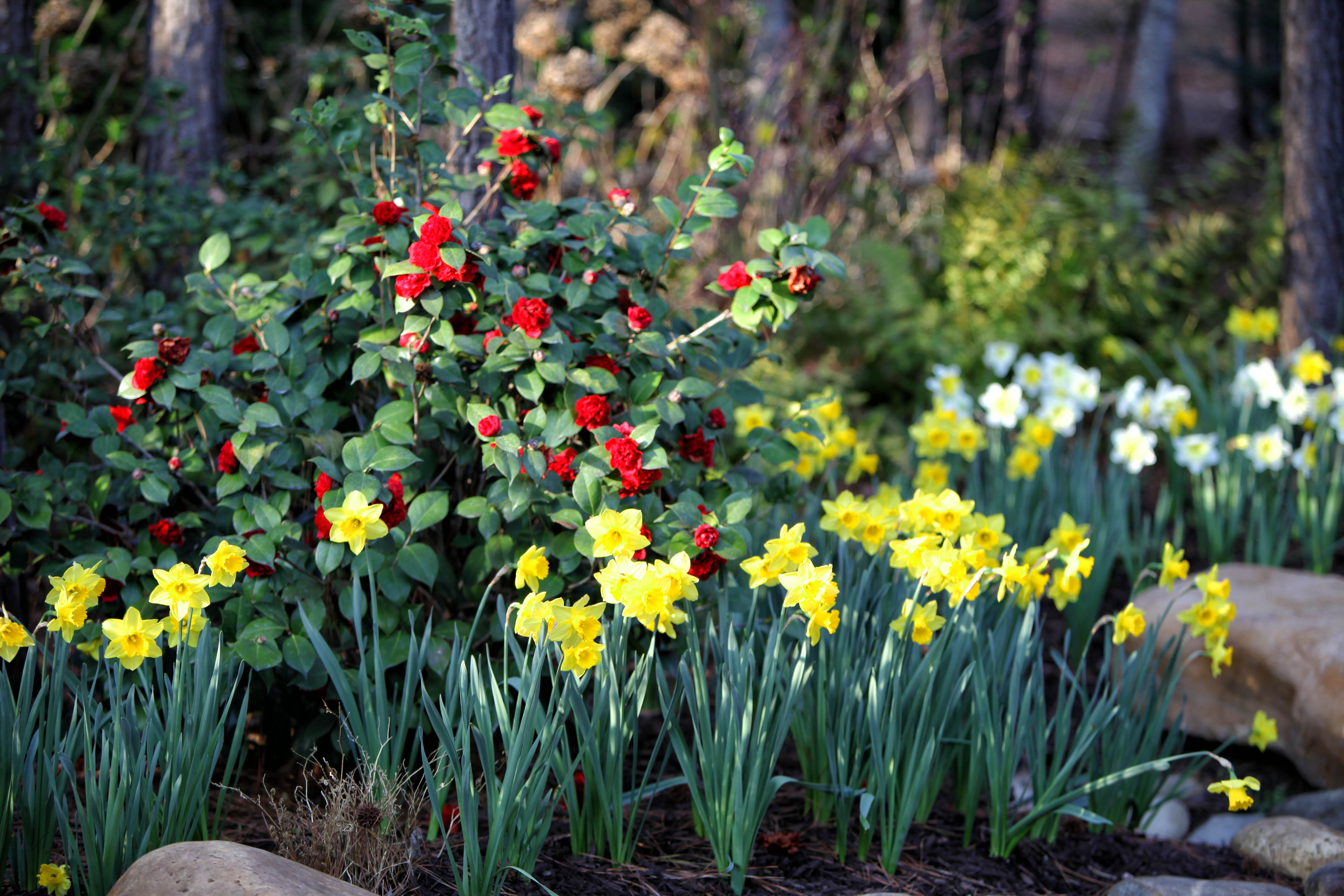 2012 03 17_4586_edited-2