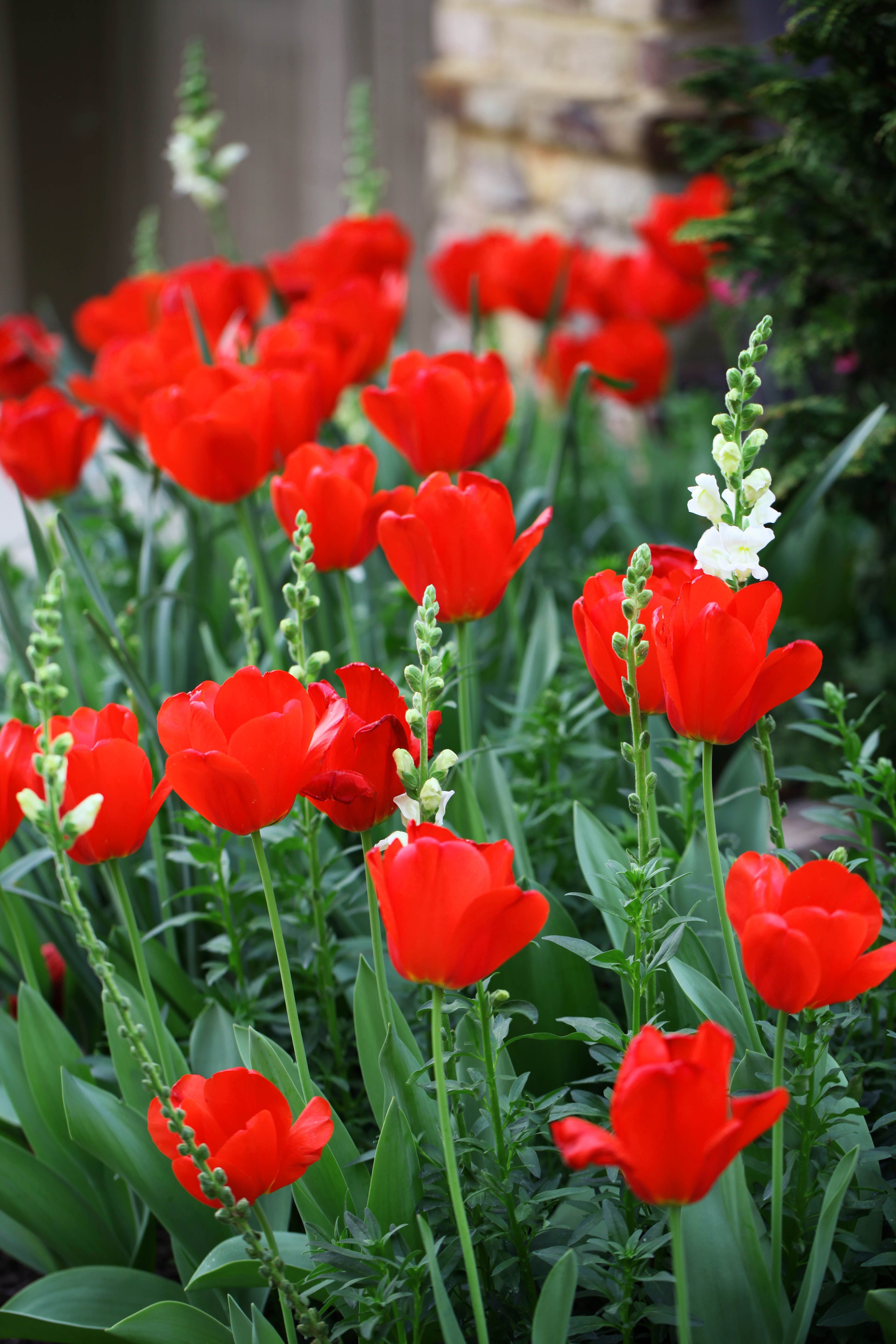 2012 03 21_4622_edited-1