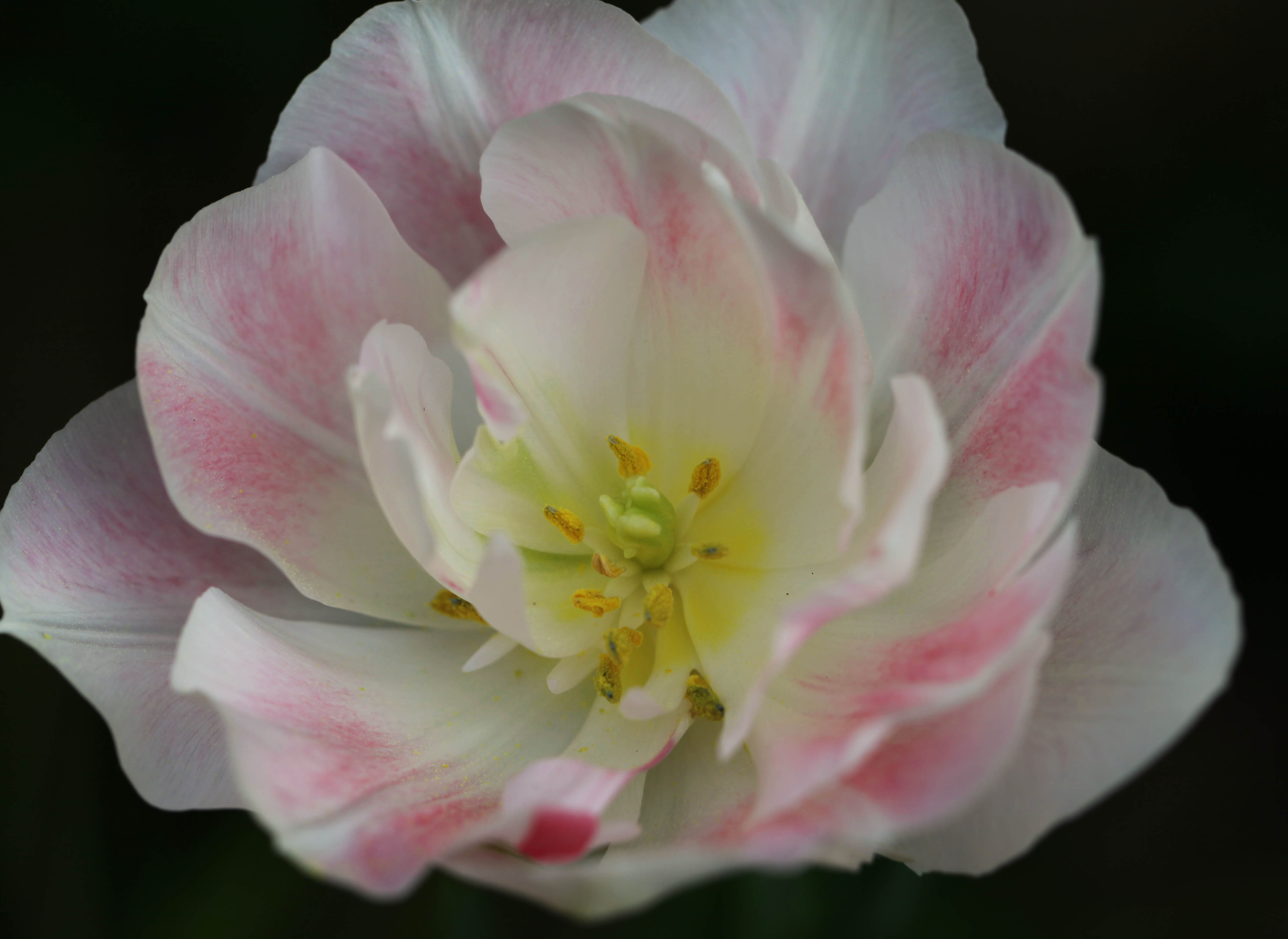 2012 03 21_4676_edited-1