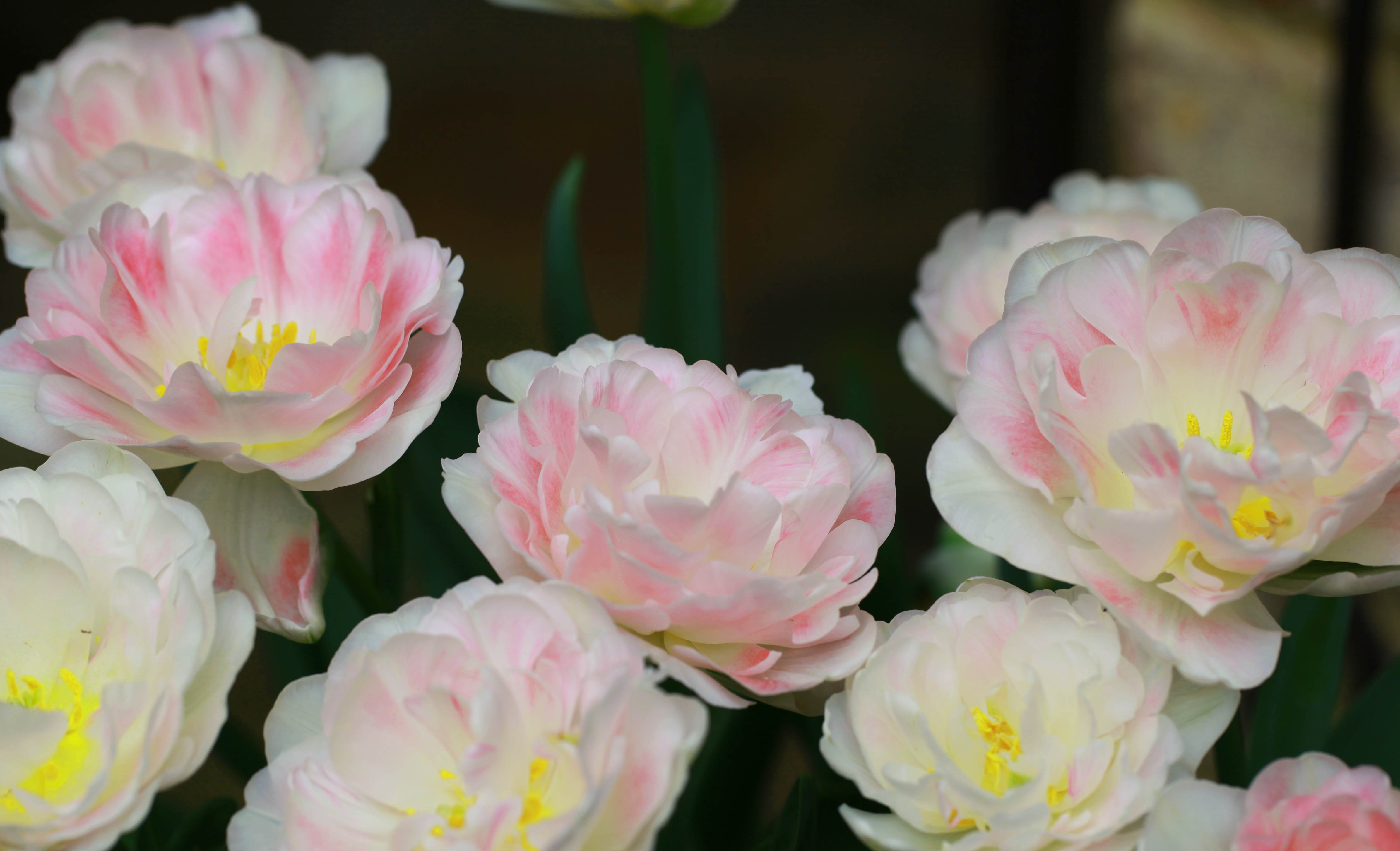 2012 03 25_4790_edited-1