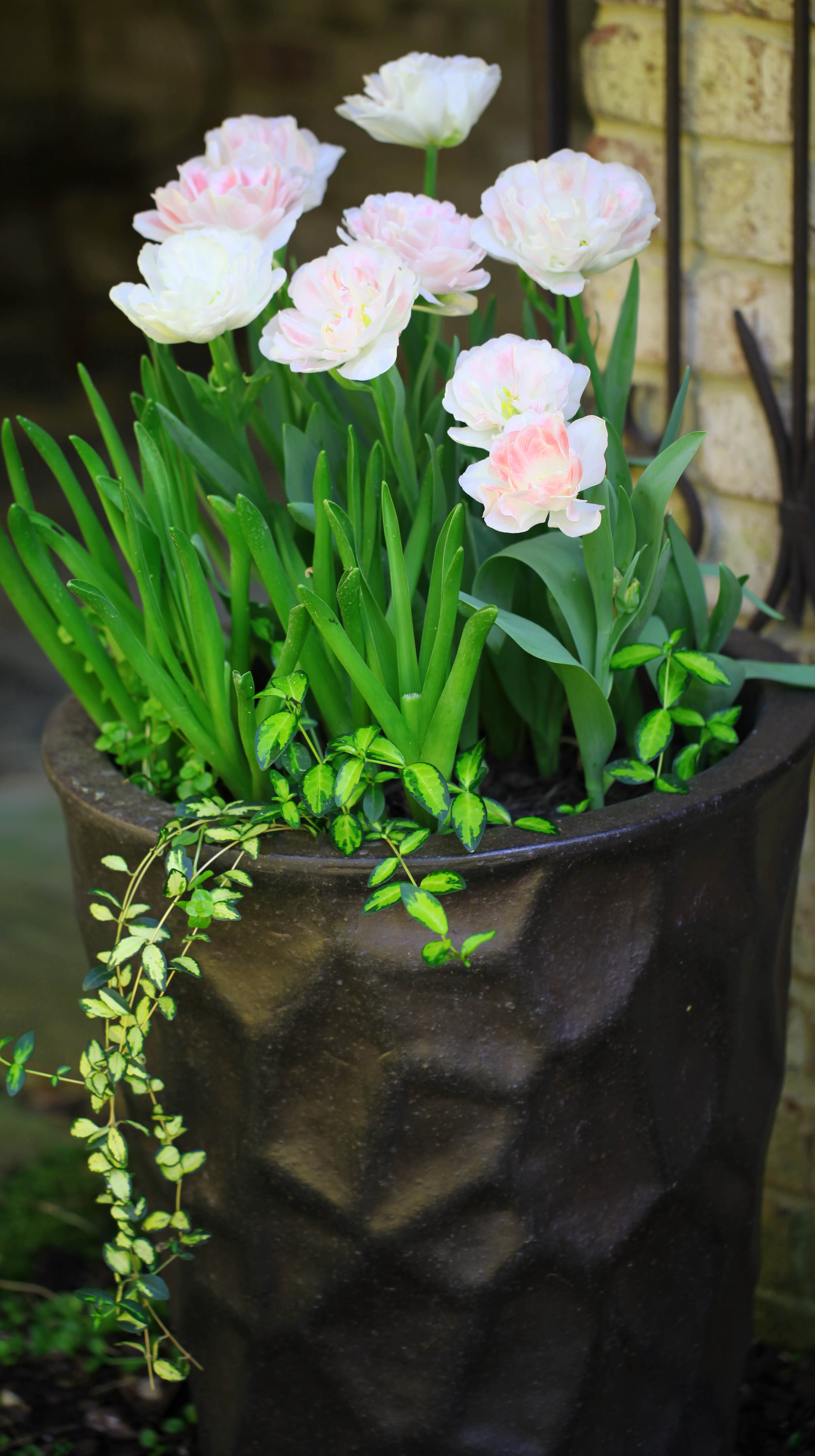 2012 03 25_4885_edited-1