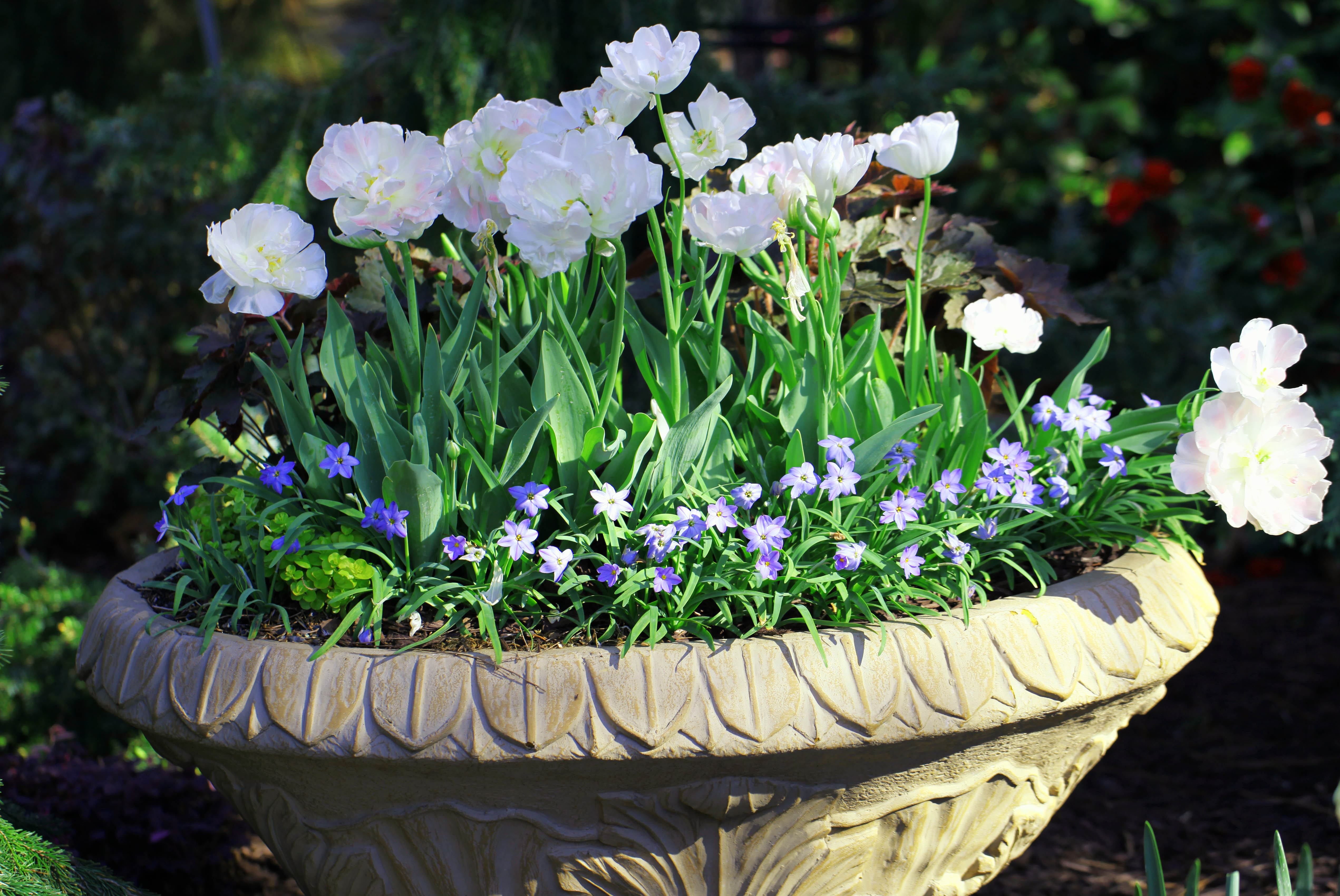 2012 03 26_4917_edited-1