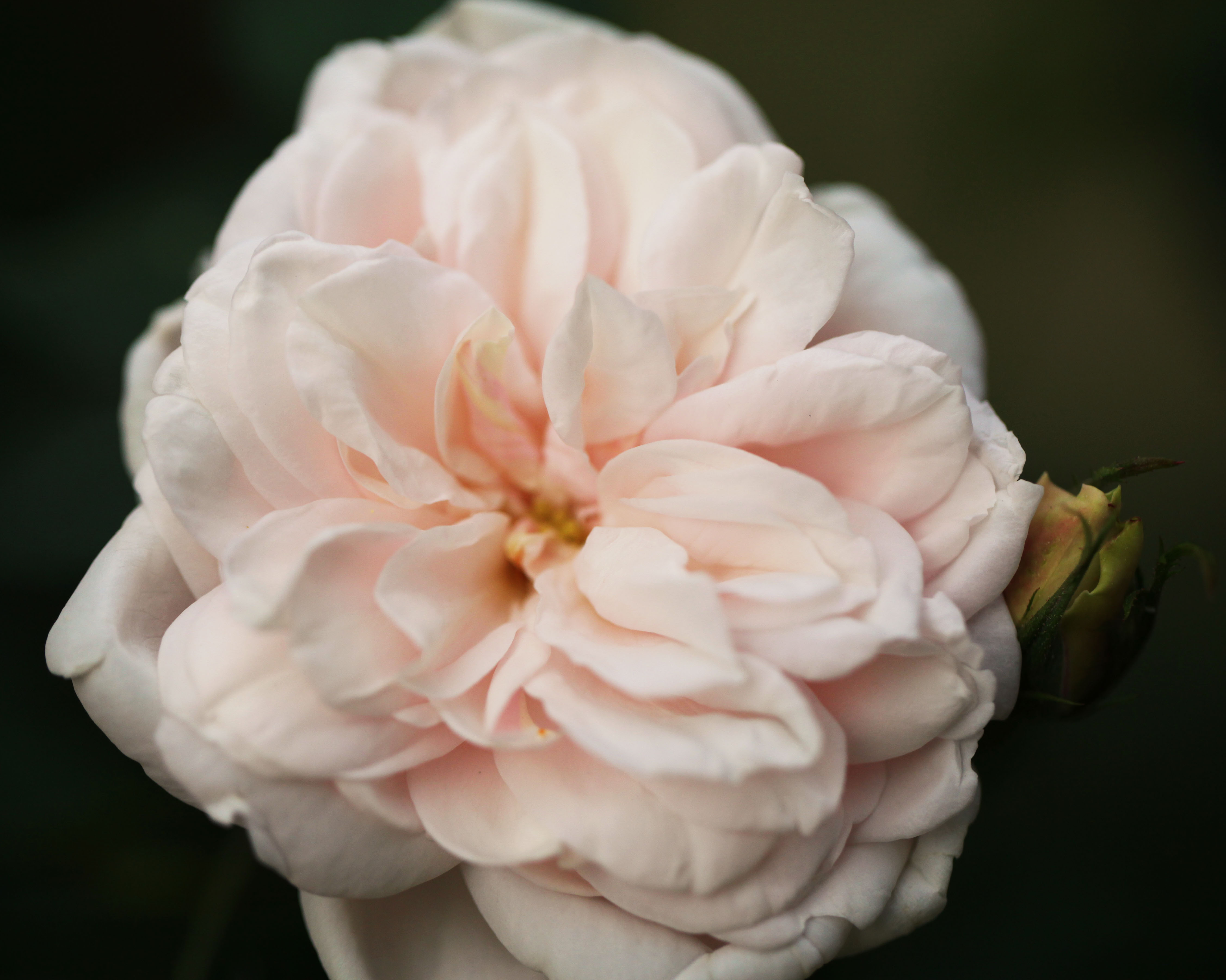 2012 03 31_4987_edited-1