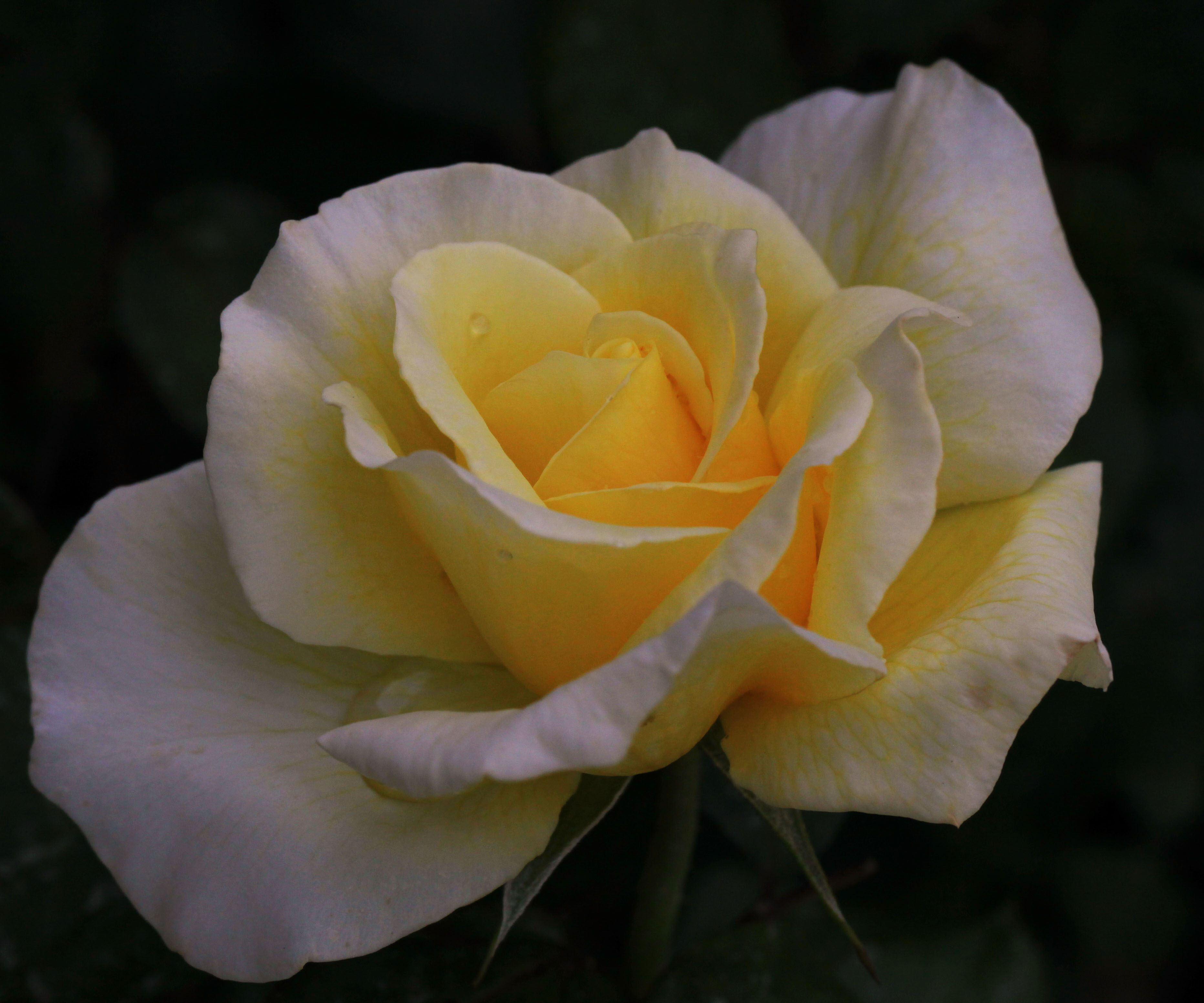 2012 03 31_5008_edited-1