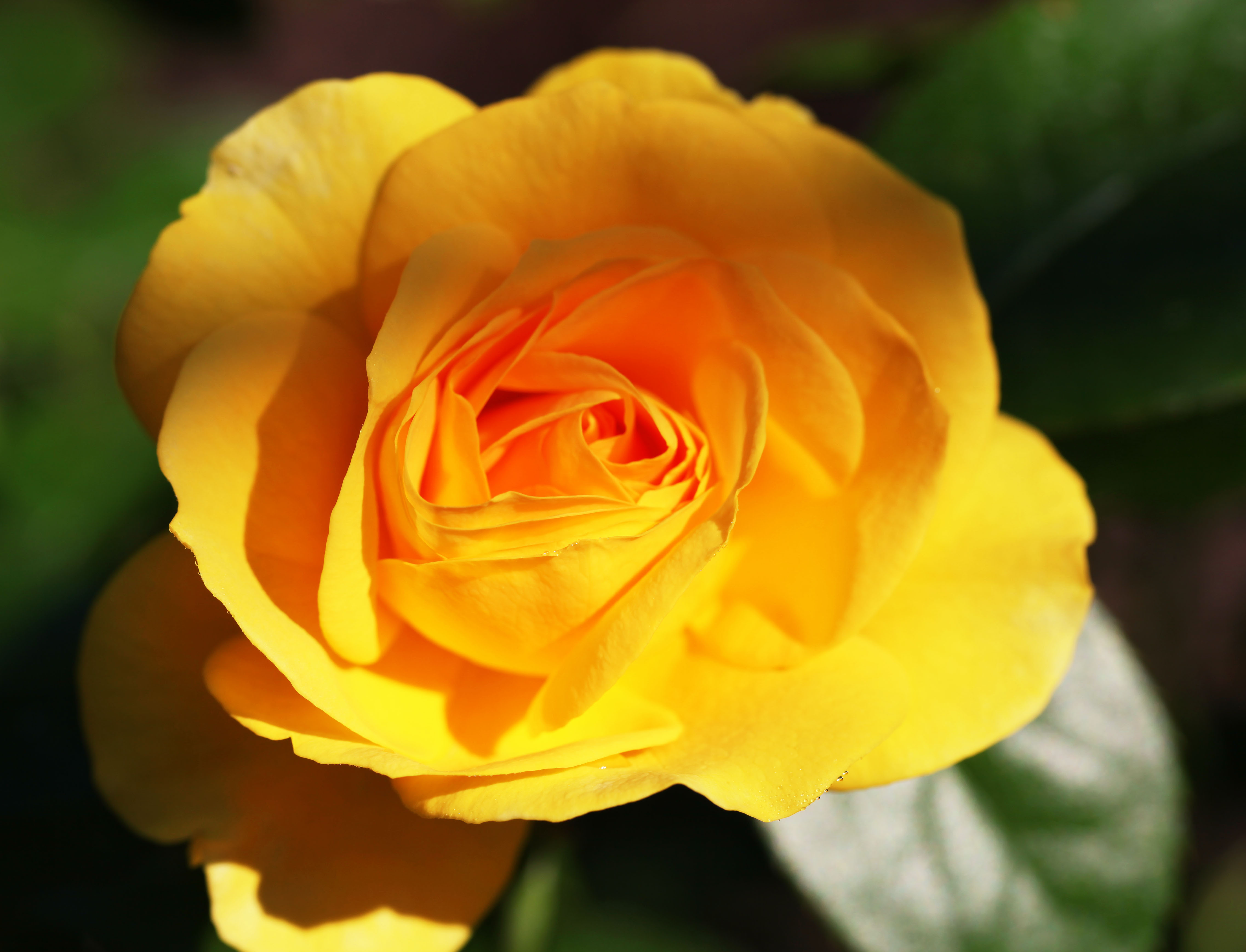2012 04 01_5011_edited-1