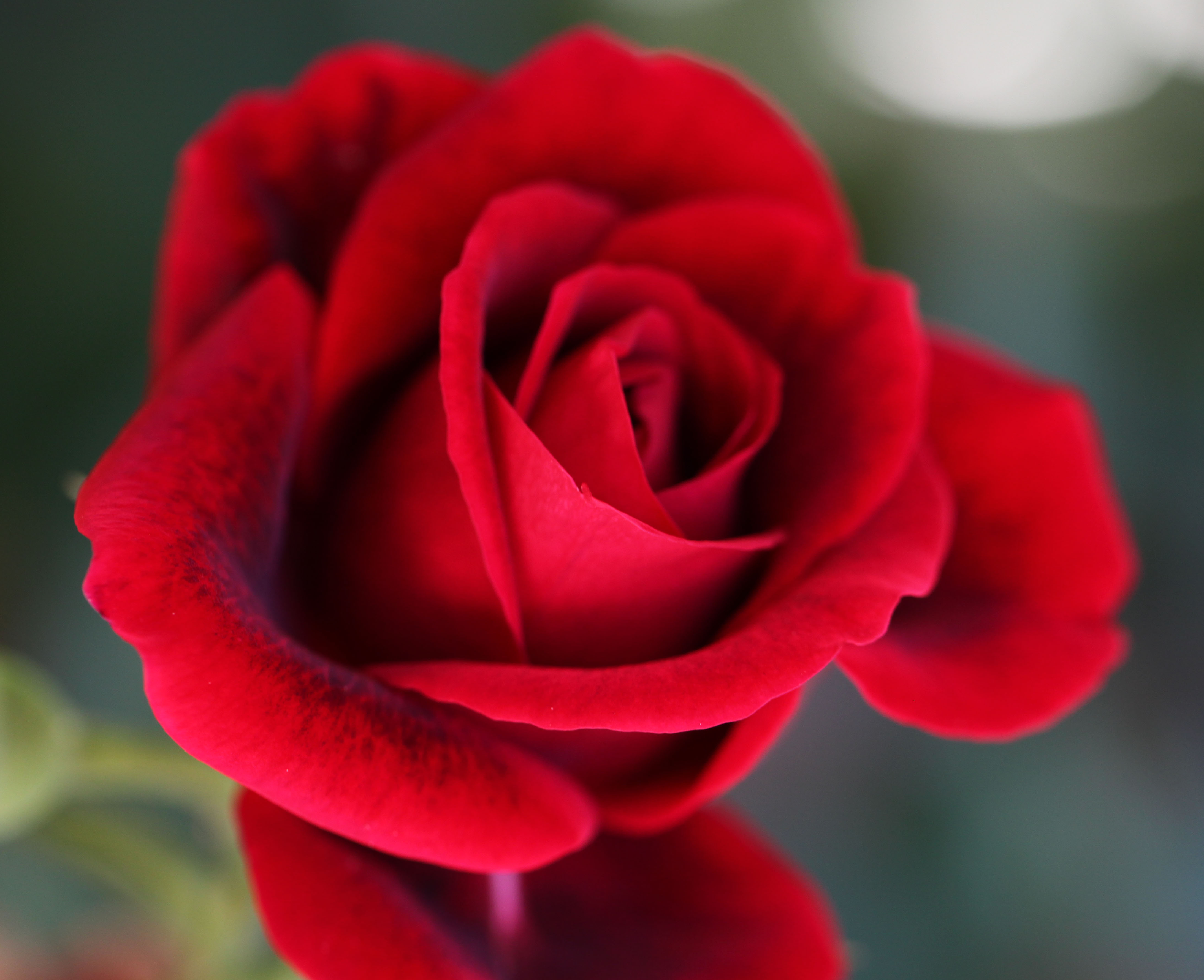 2012 04 01_5025_edited-1