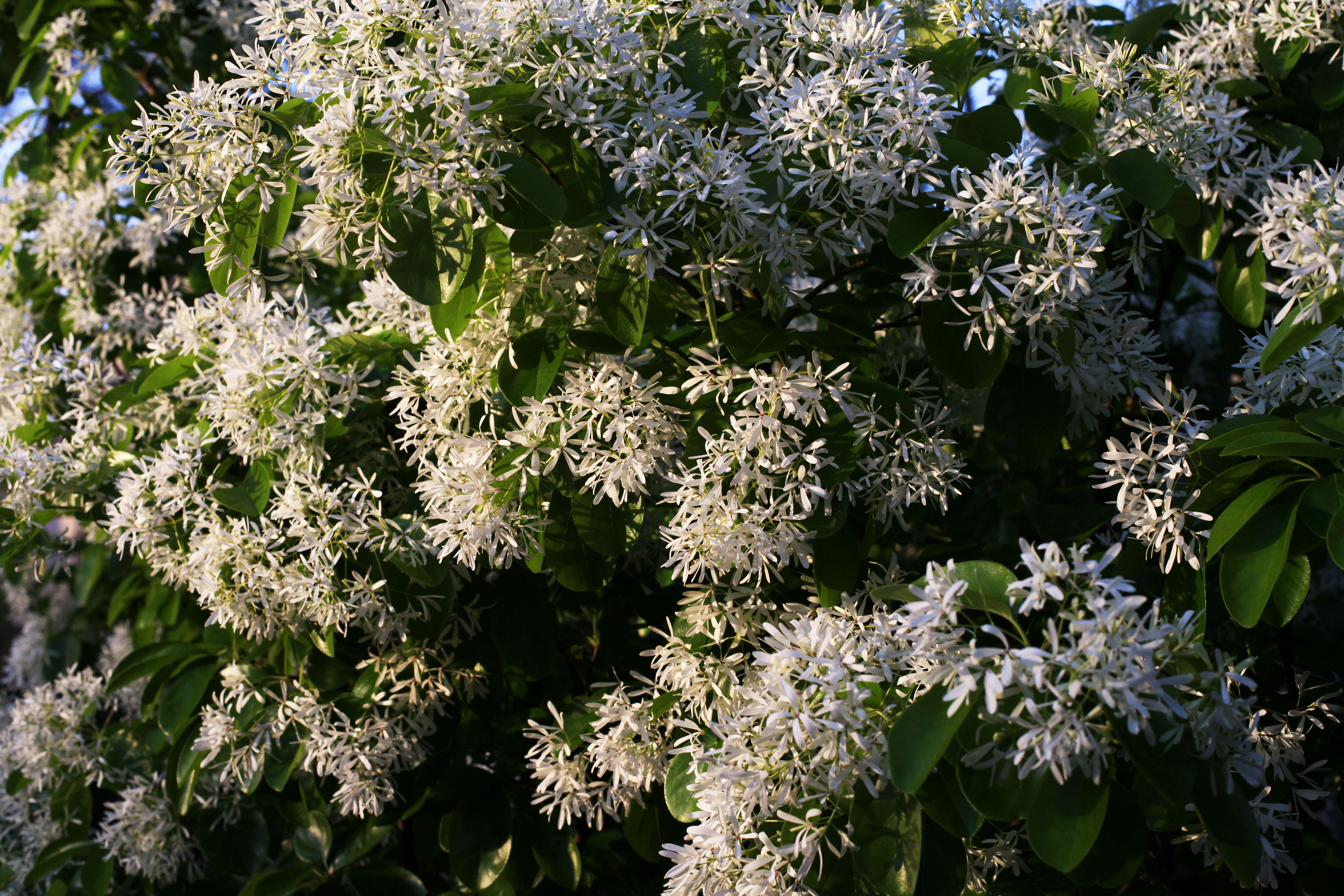 2012 04 02_5035_edited-1