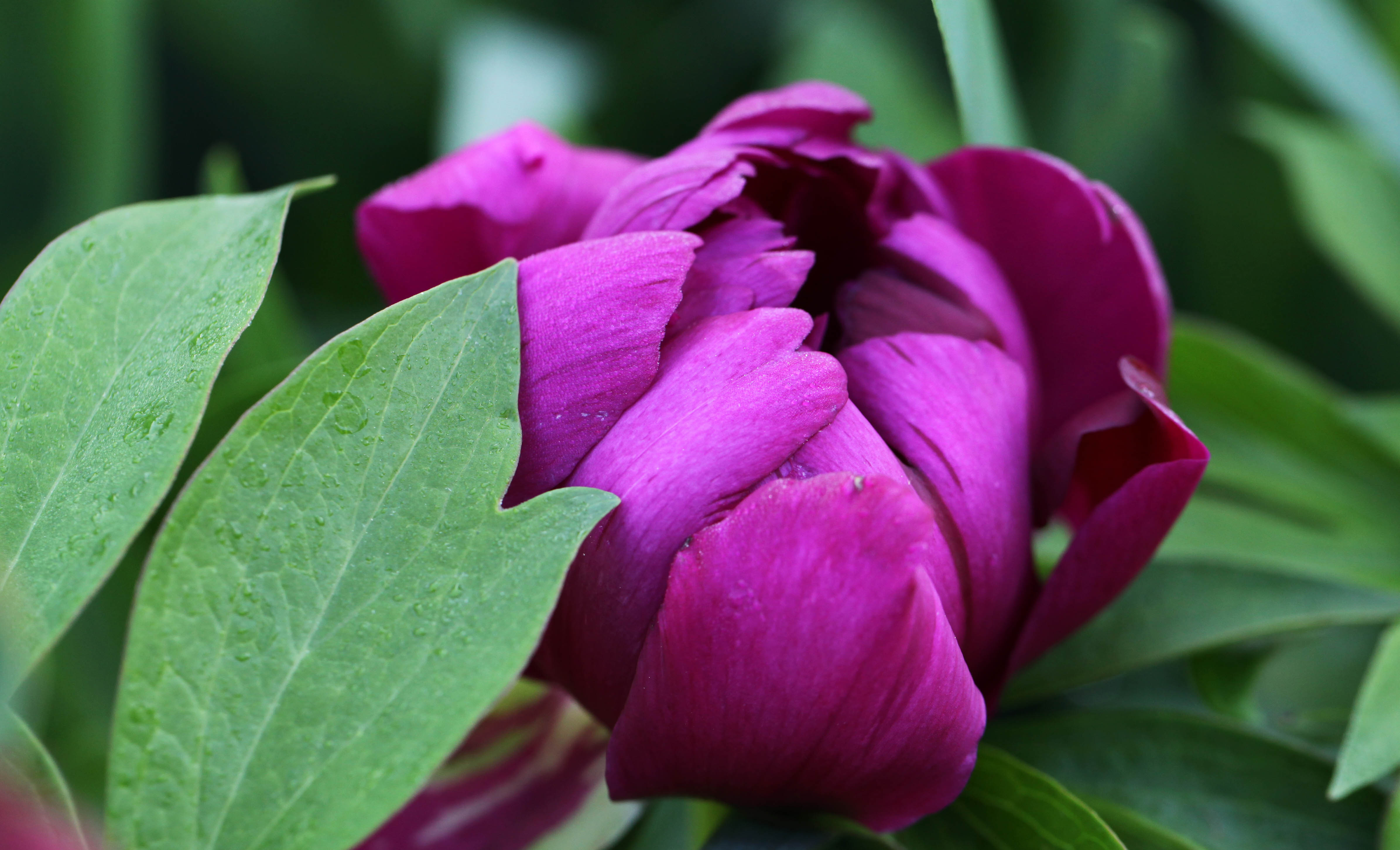 2012 04 03_5063_edited-1
