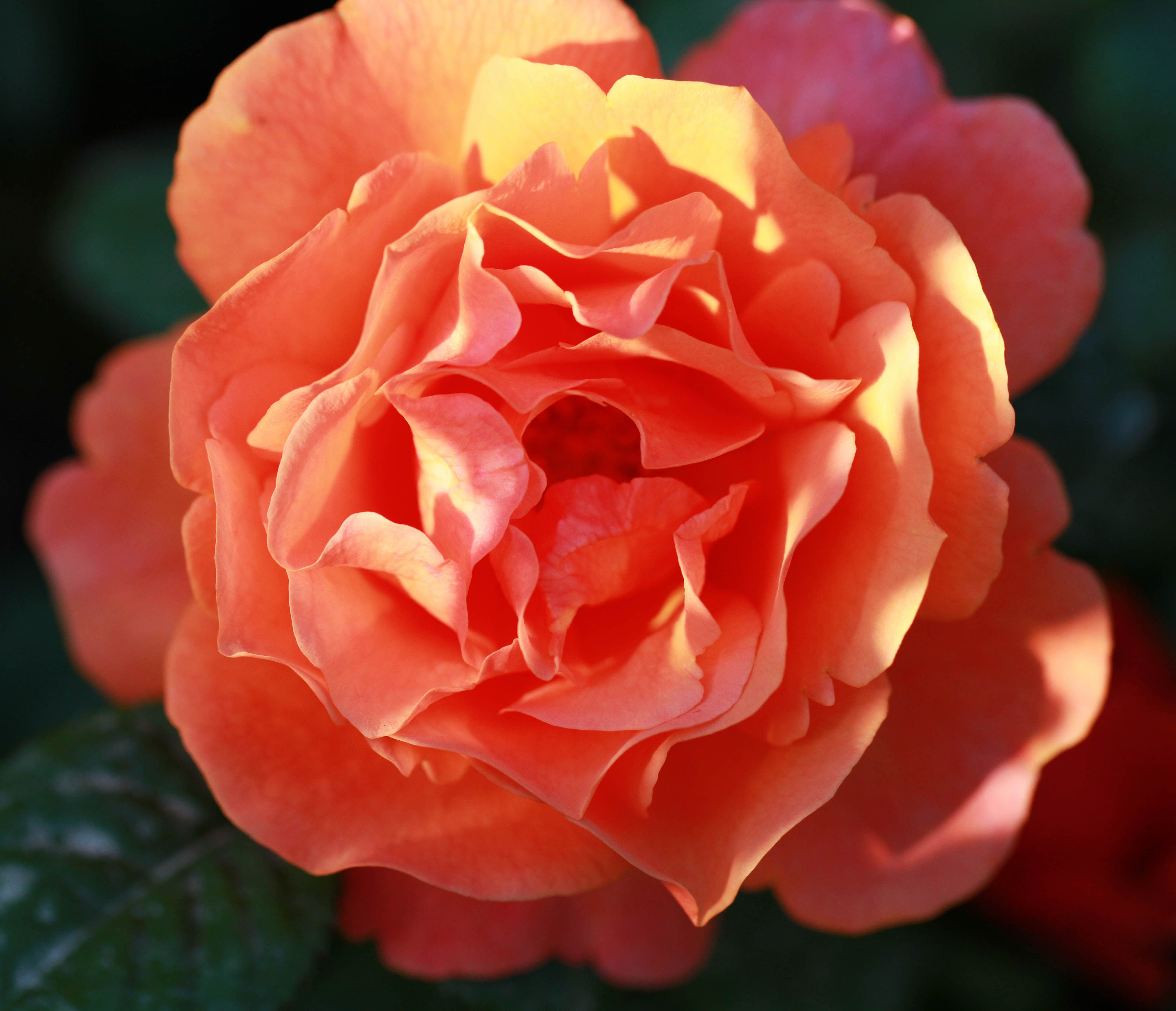 2012 04 12_5121_edited-1