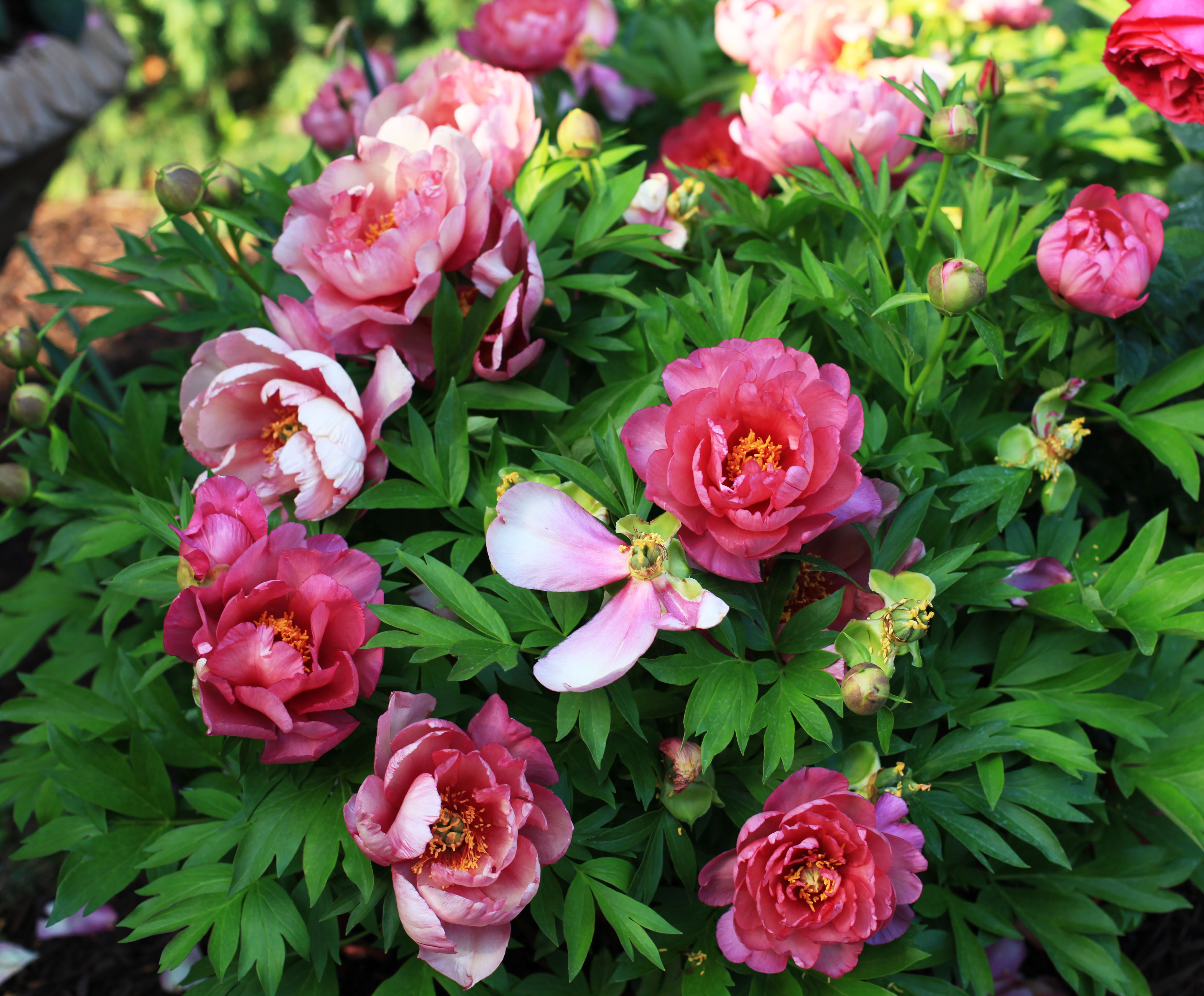 2012 04 16_5214_edited-1