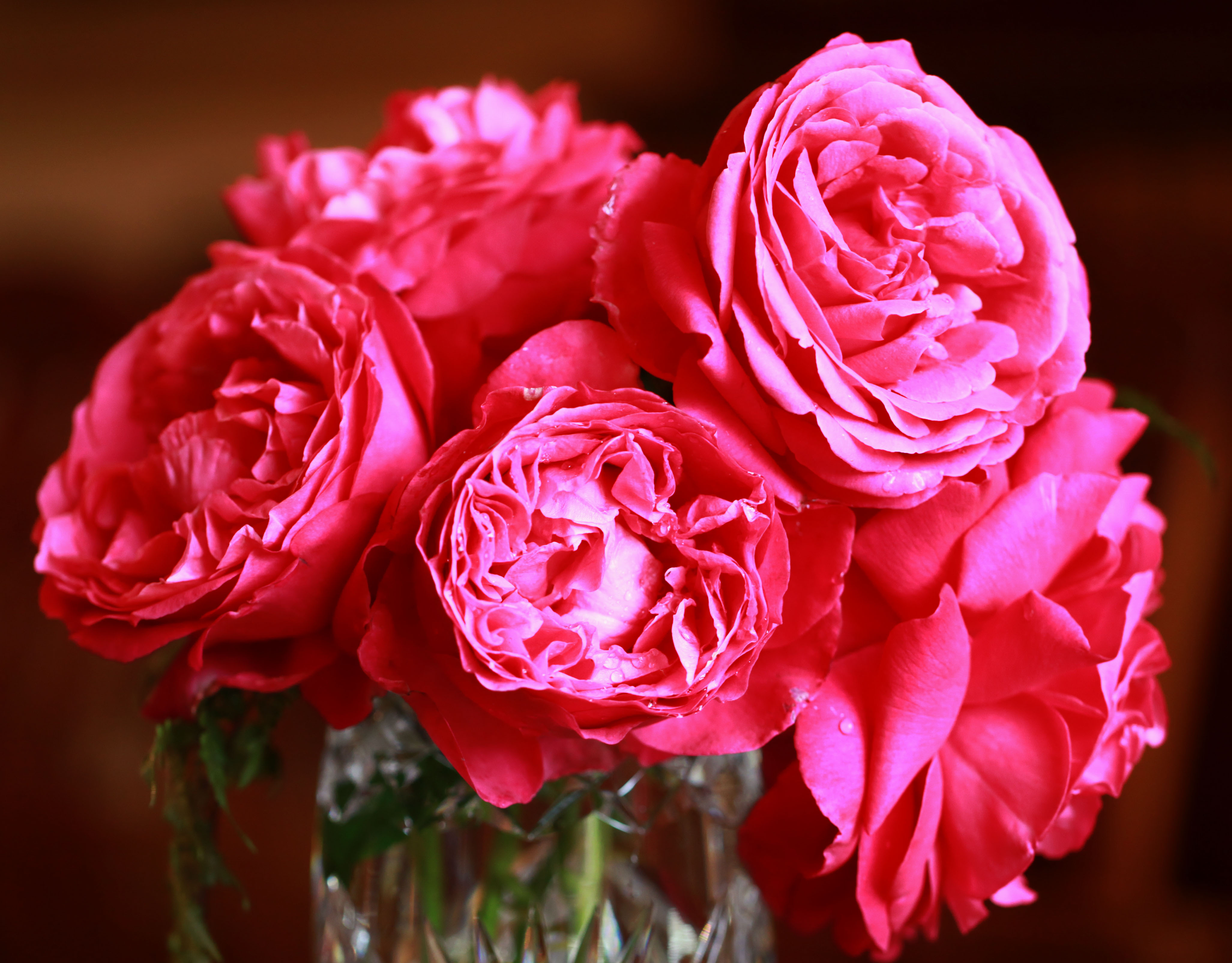 Rose romance