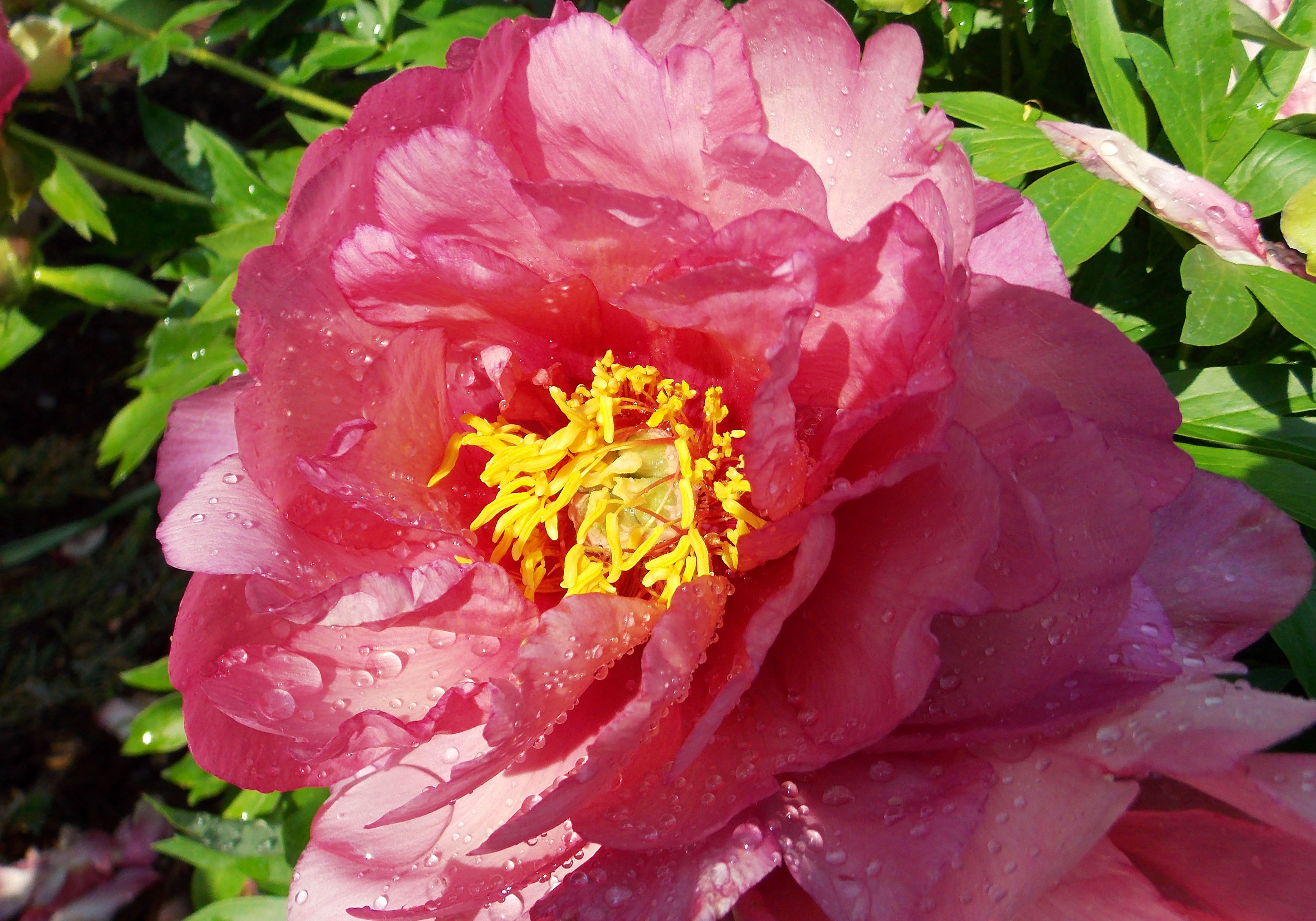 2012 04 18_5316_edited-1
