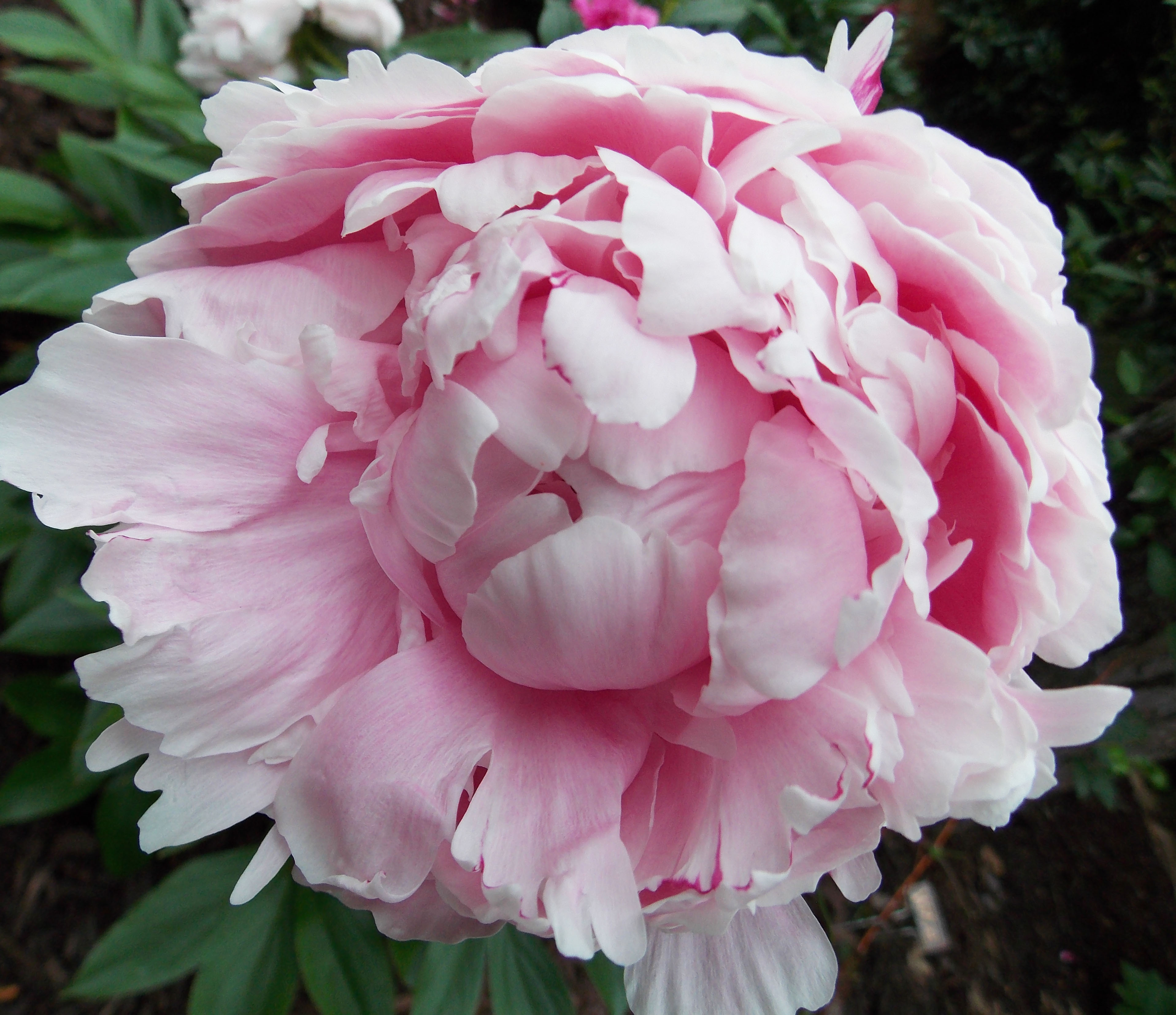 2012 04 22_5366_edited-1