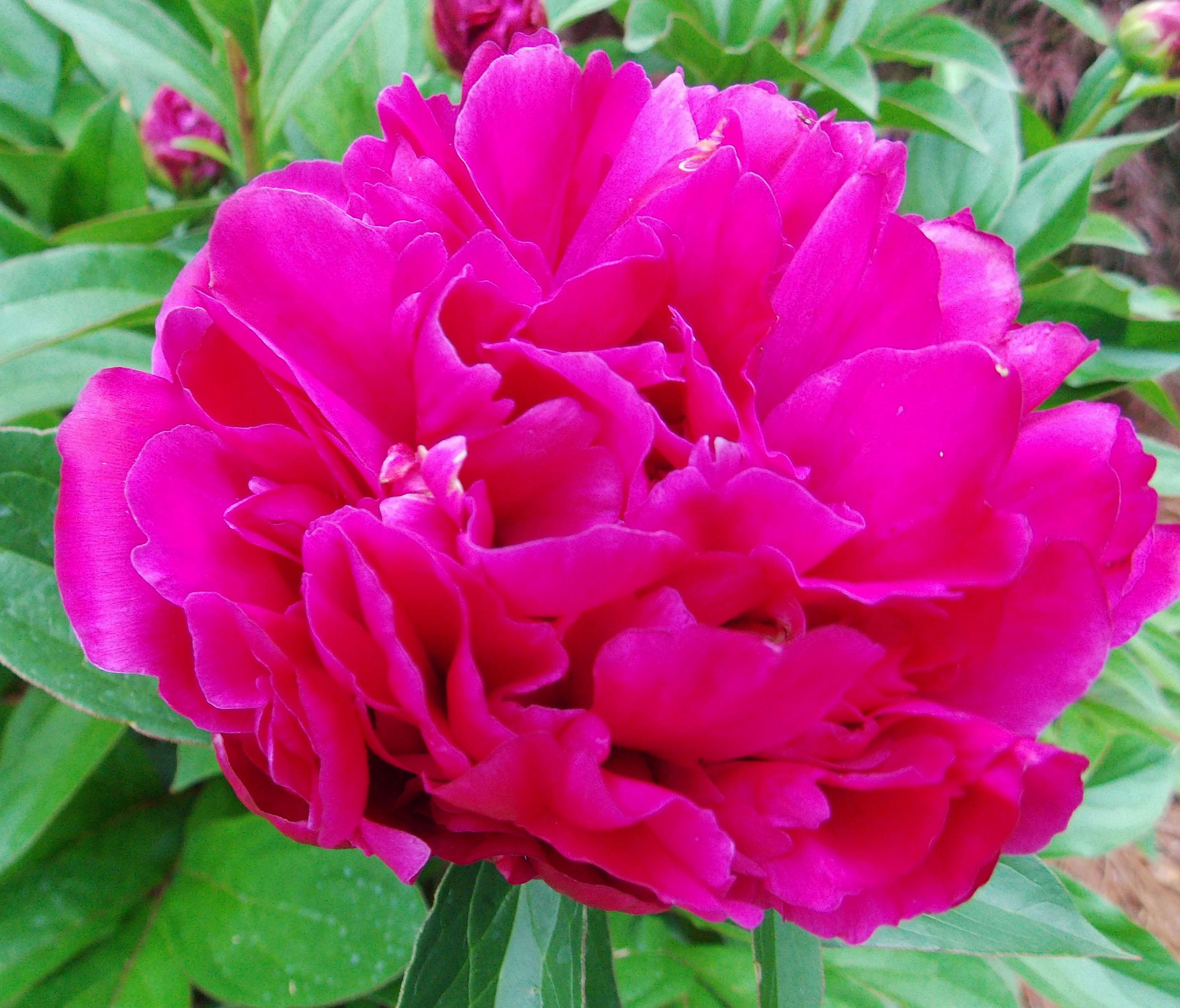 2012 04 22_5383_edited-2