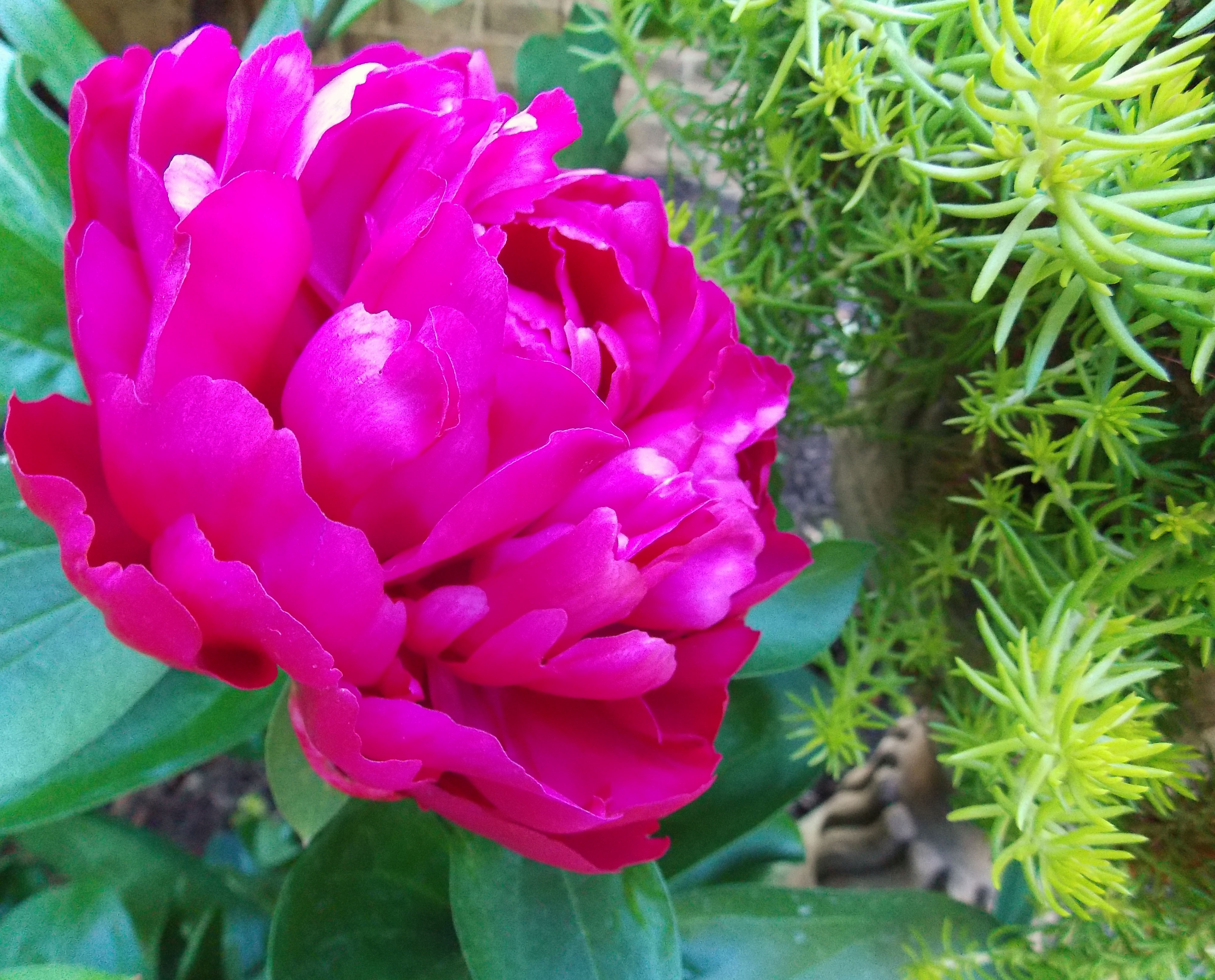 2012 04 25_5394_edited-1