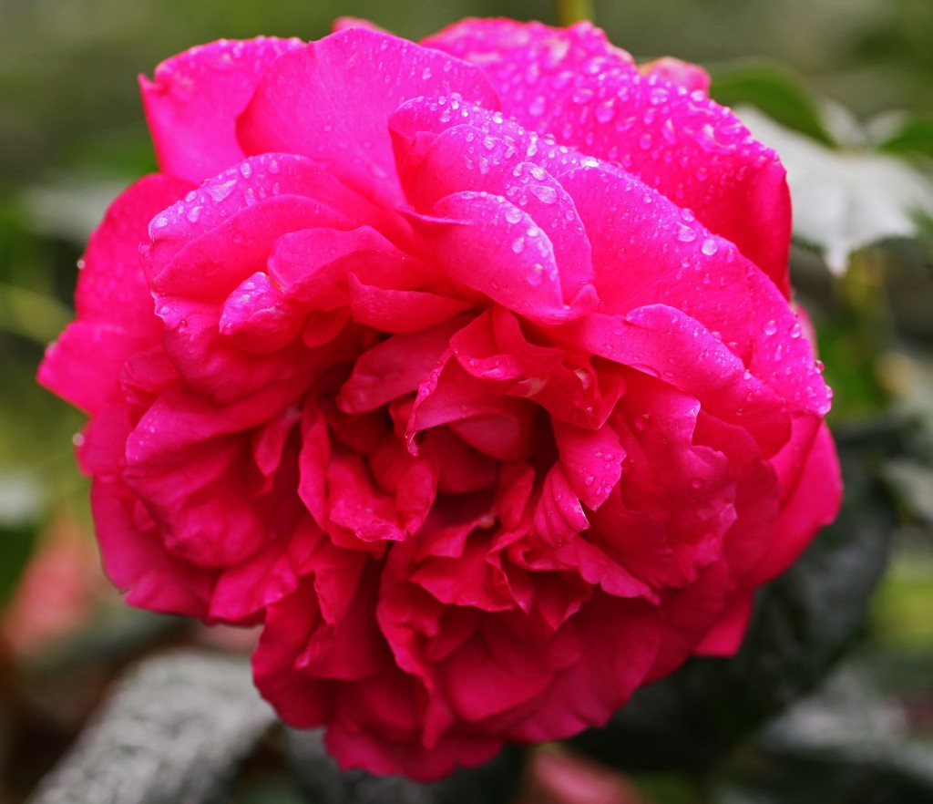 2012 04 16_5281_edited-2