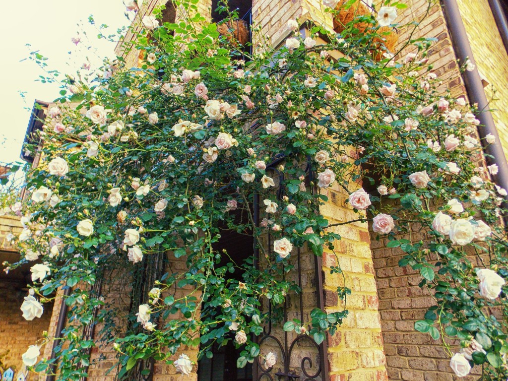 2012 04 30_5469_edited-1