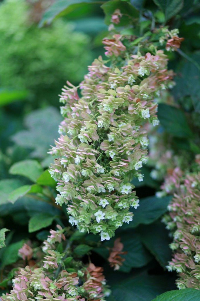 2011 07 19_1373_edited-1