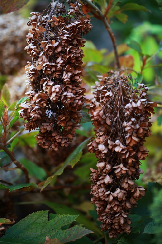 2011 11 01_2894_edited-1
