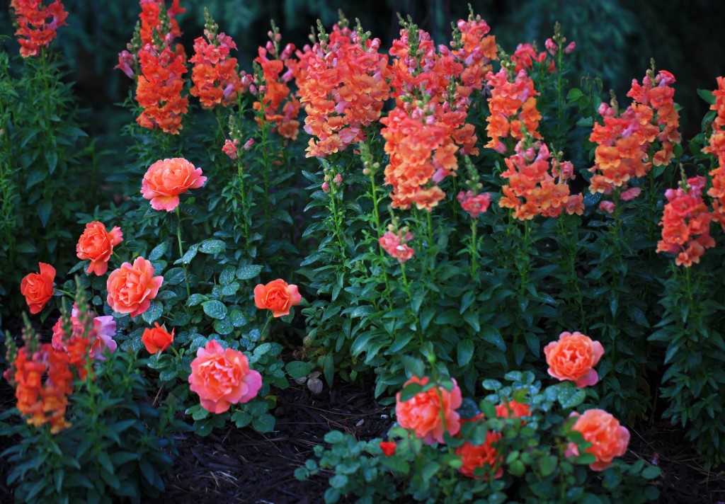 2012 04 16_5239_edited-1