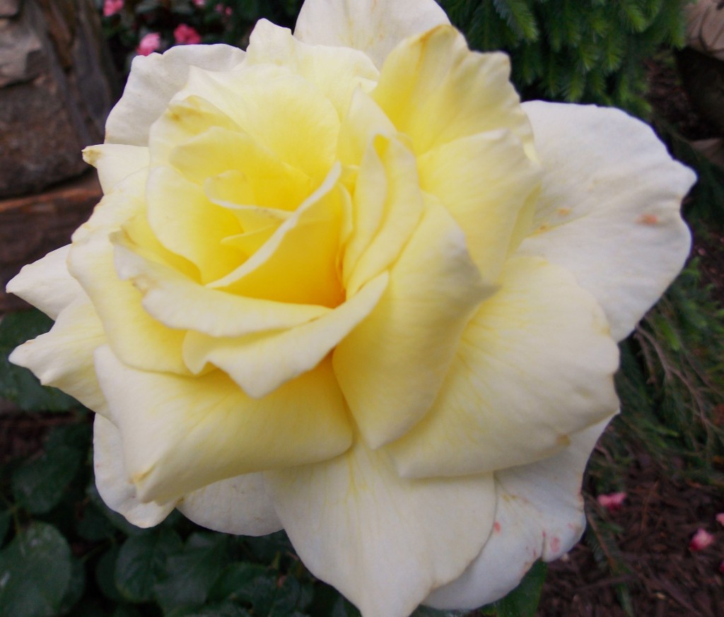 2012 04 22_5342_edited-1