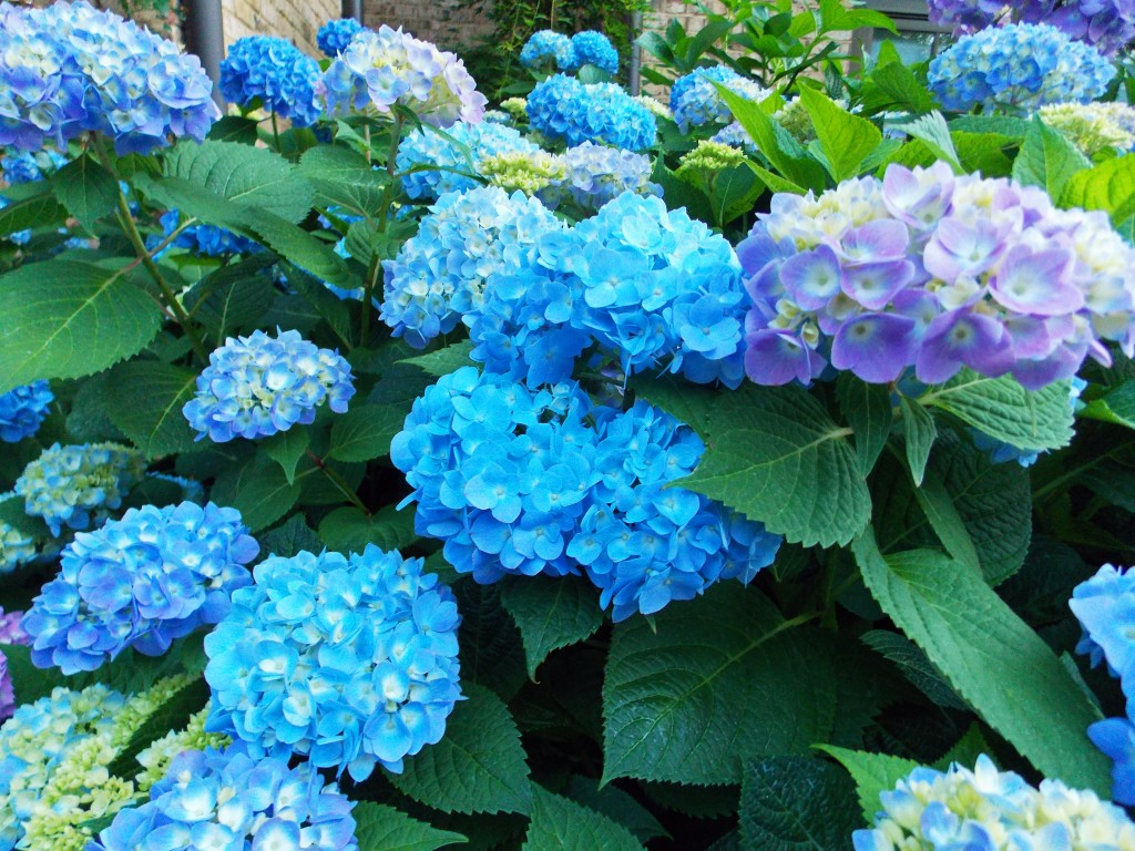 2012 05 11_5660_edited-1