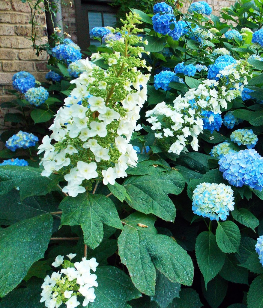 2012 05 11_5661_edited-2
