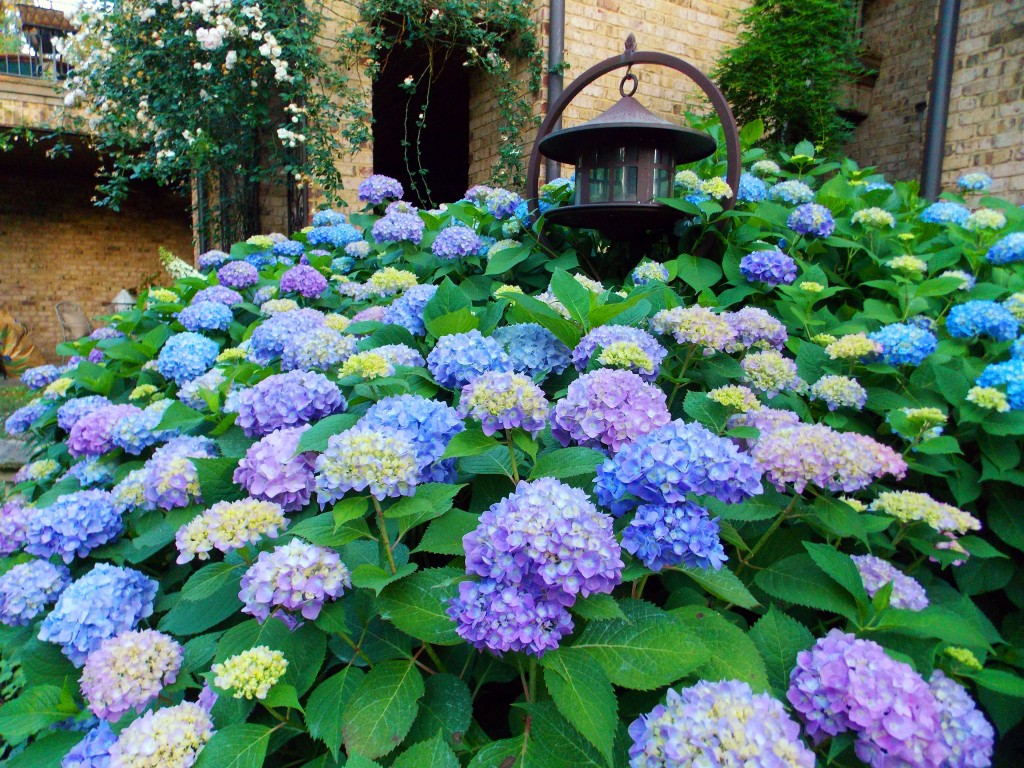 2012 05 11_5674_edited-2