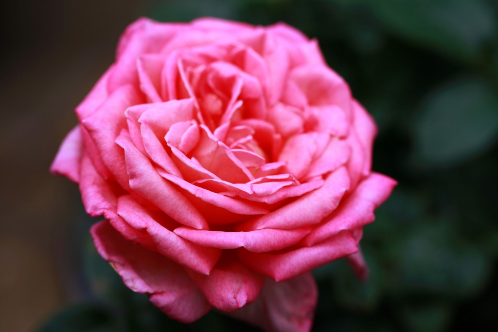 2012 05 27_6075_edited-1