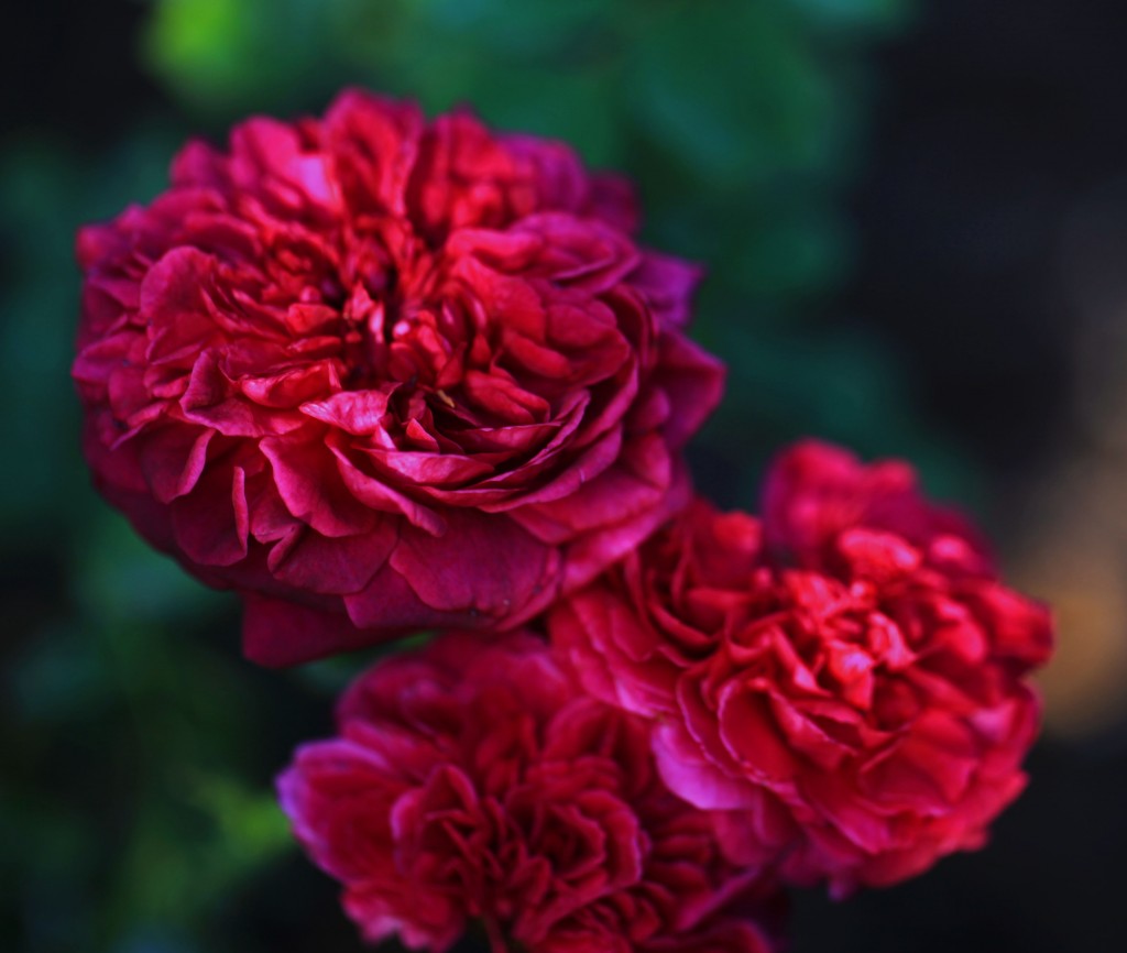 2012 06 12_6339_edited-1