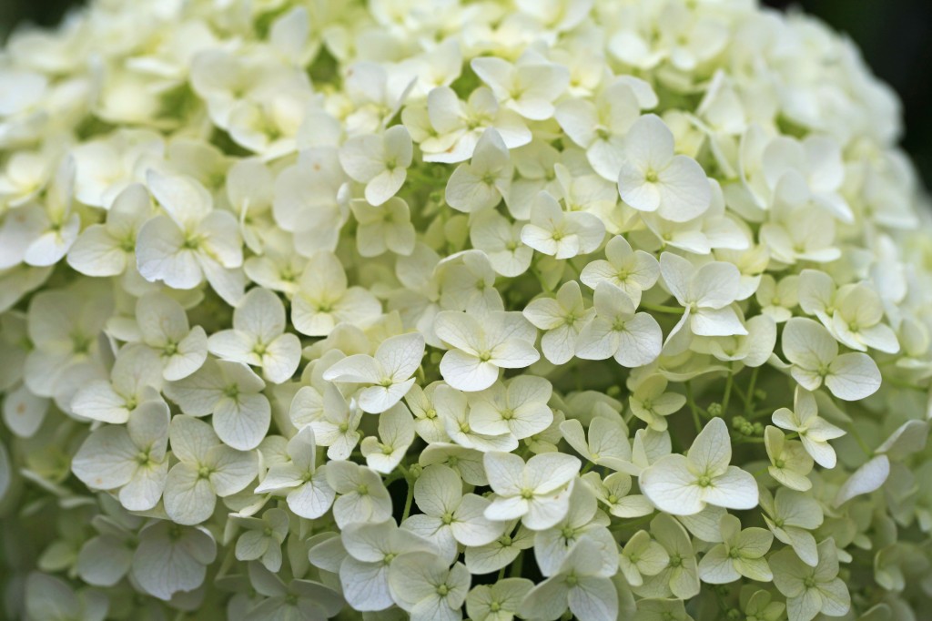 2012 06 18_6503_edited-1