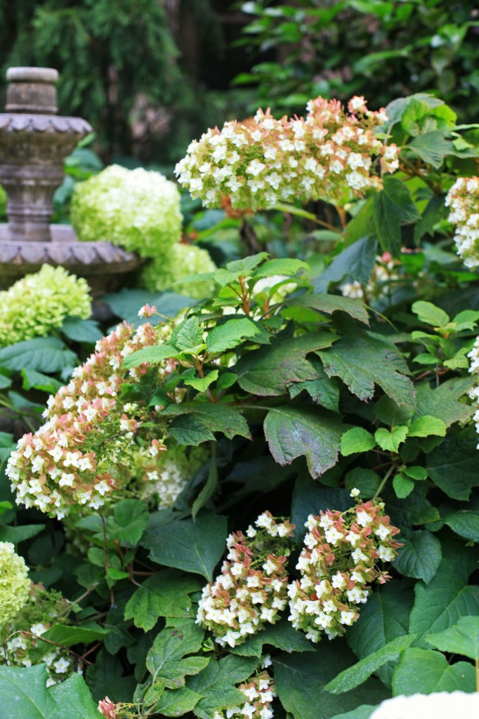 2012 06 18_6538_edited-1