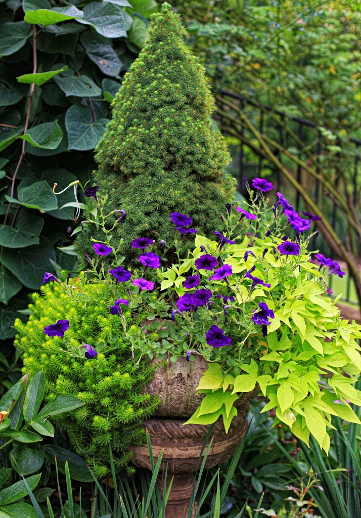 2012 06 23_6550_edited-1 copy