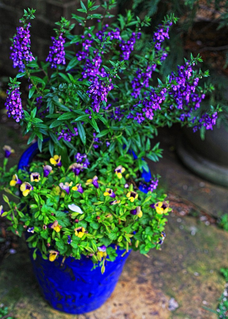 2012 06 23_6590_edited-1