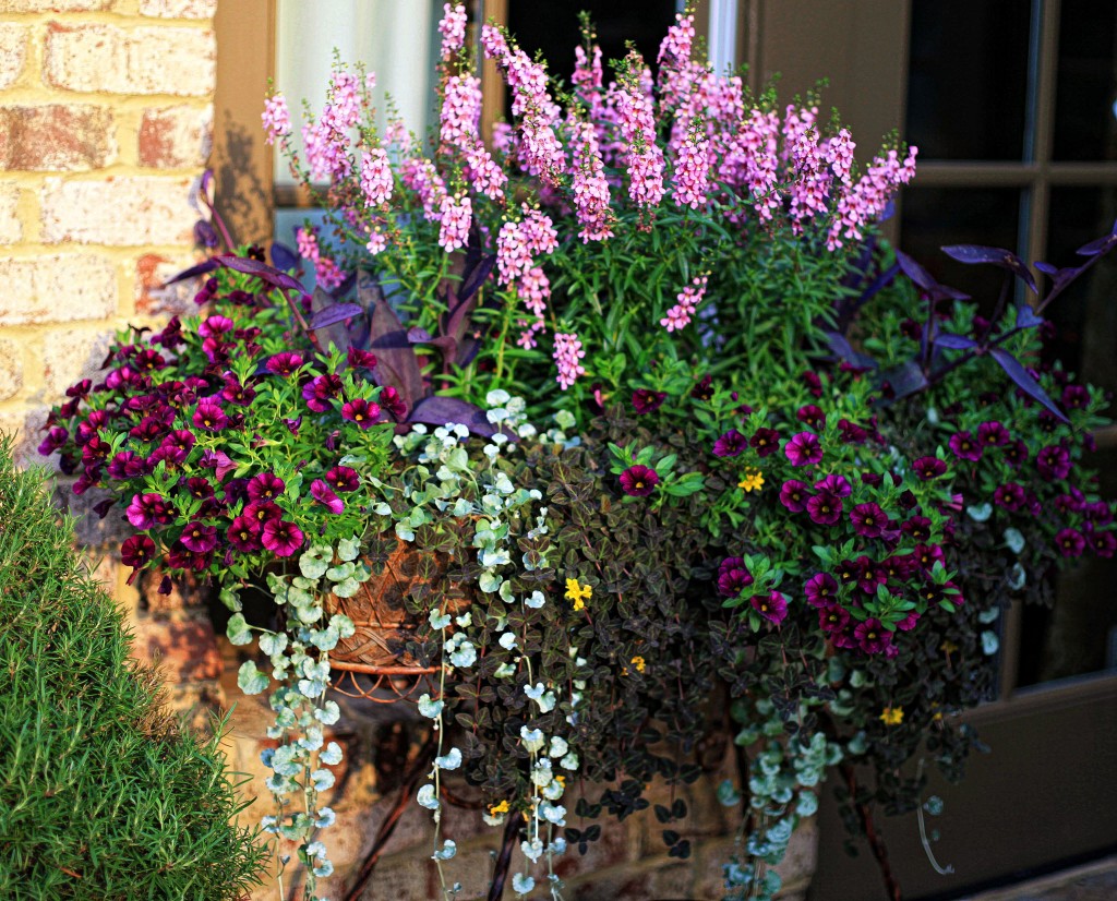 2012 06 23_6618_edited-1 copy