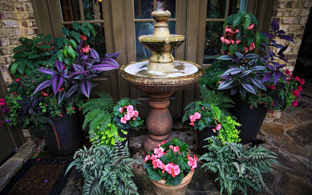 2012 06 23_6648_edited-1 copy