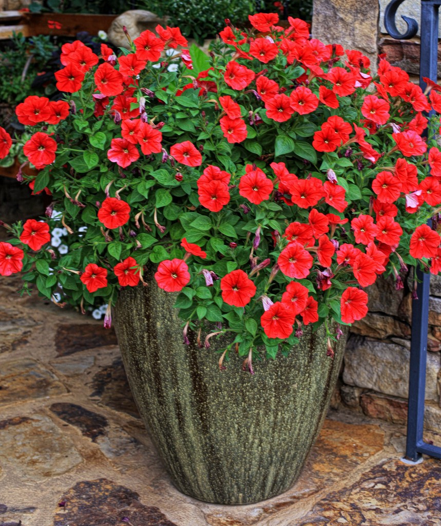 2012 06 26_6746_edited-1